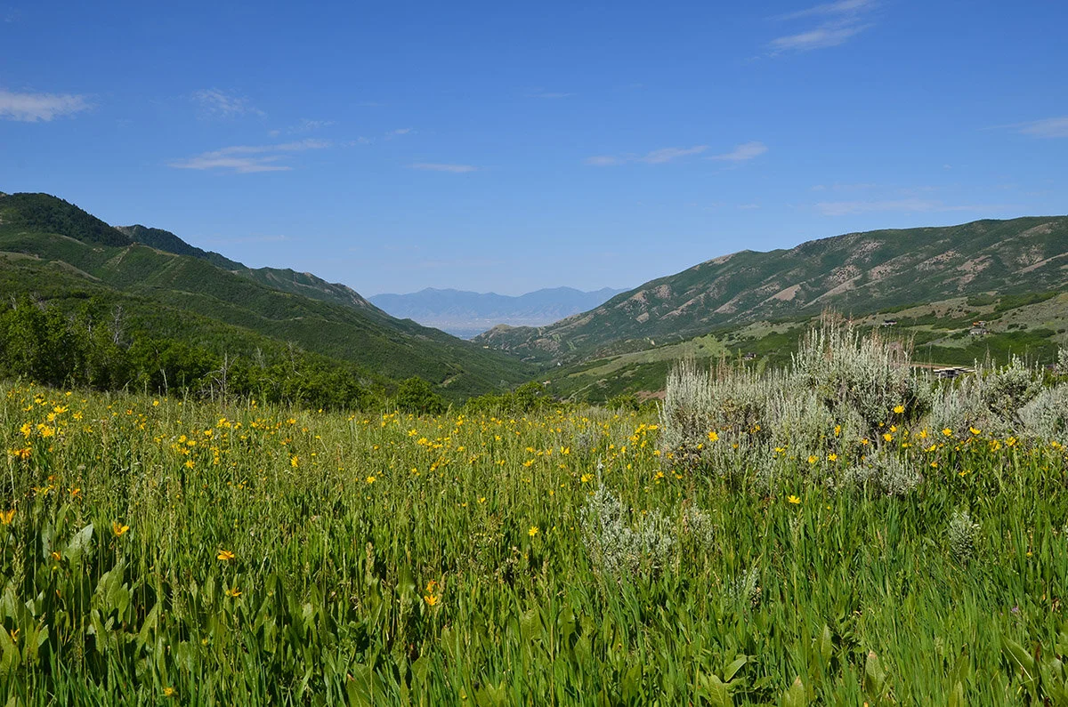 Mountain Architecture  