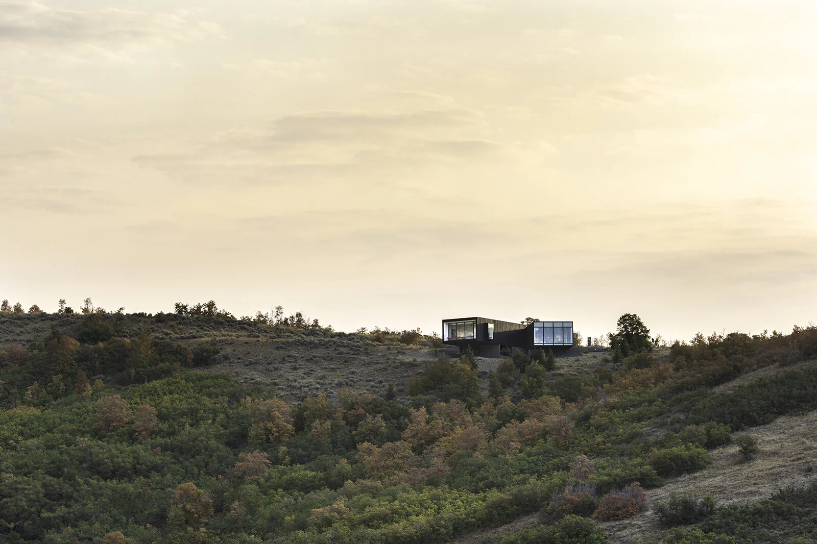 How Landscaping and Site Design Integrate with Architecture