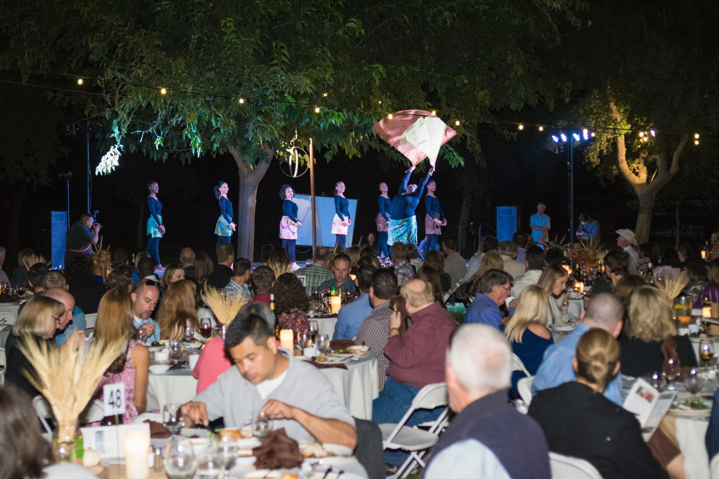 WAVS 2017 Dine and Discover Dinner Banquet