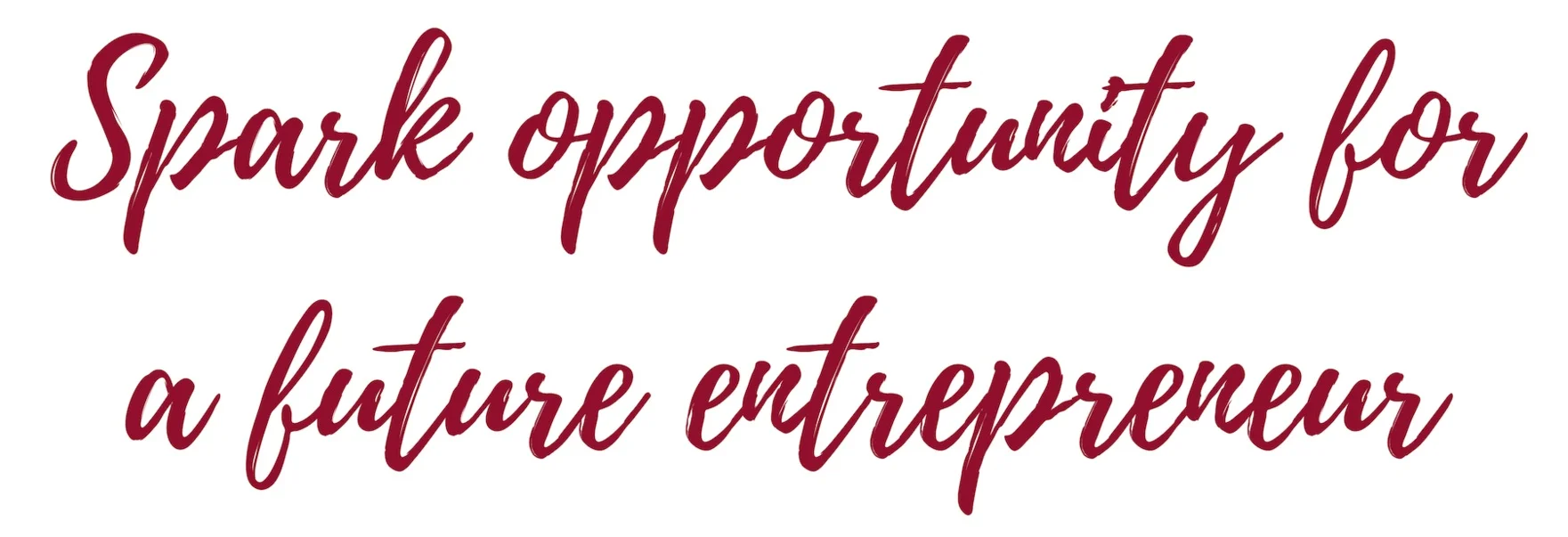 spark+opportunity+for+future+entrepreneurs+stacked.jpg
