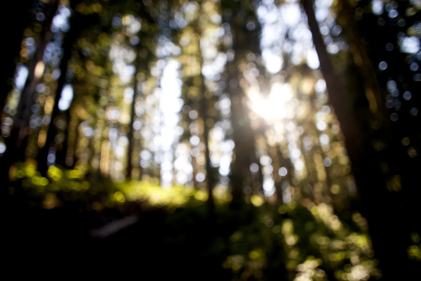 Copyright_Leah_Hedberg_[20130901__0LH2020]_web.jpg
