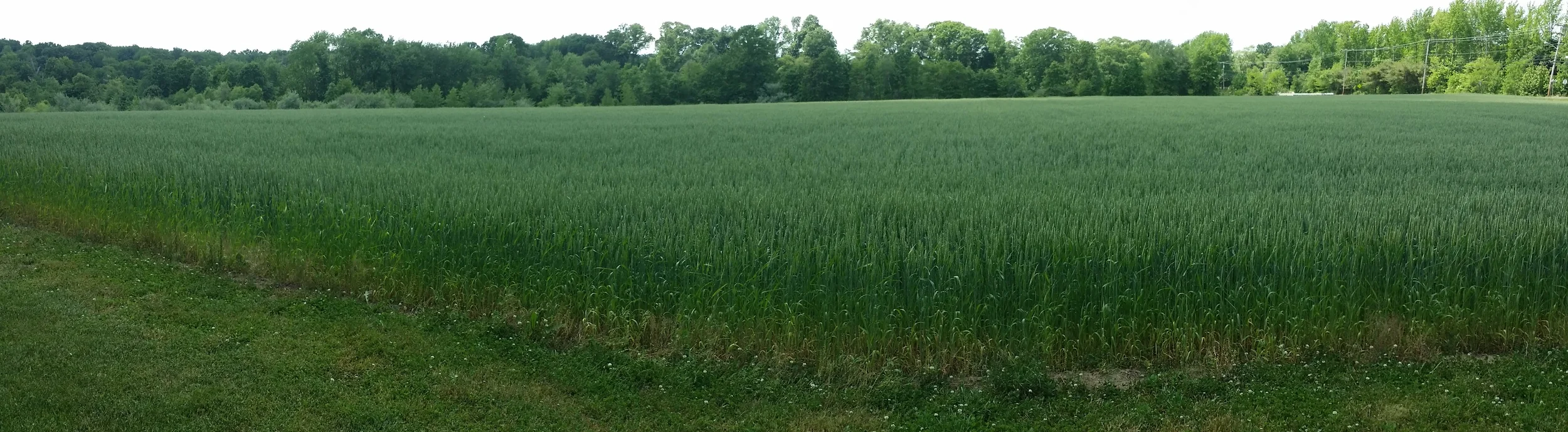 20150527_140012.jpg