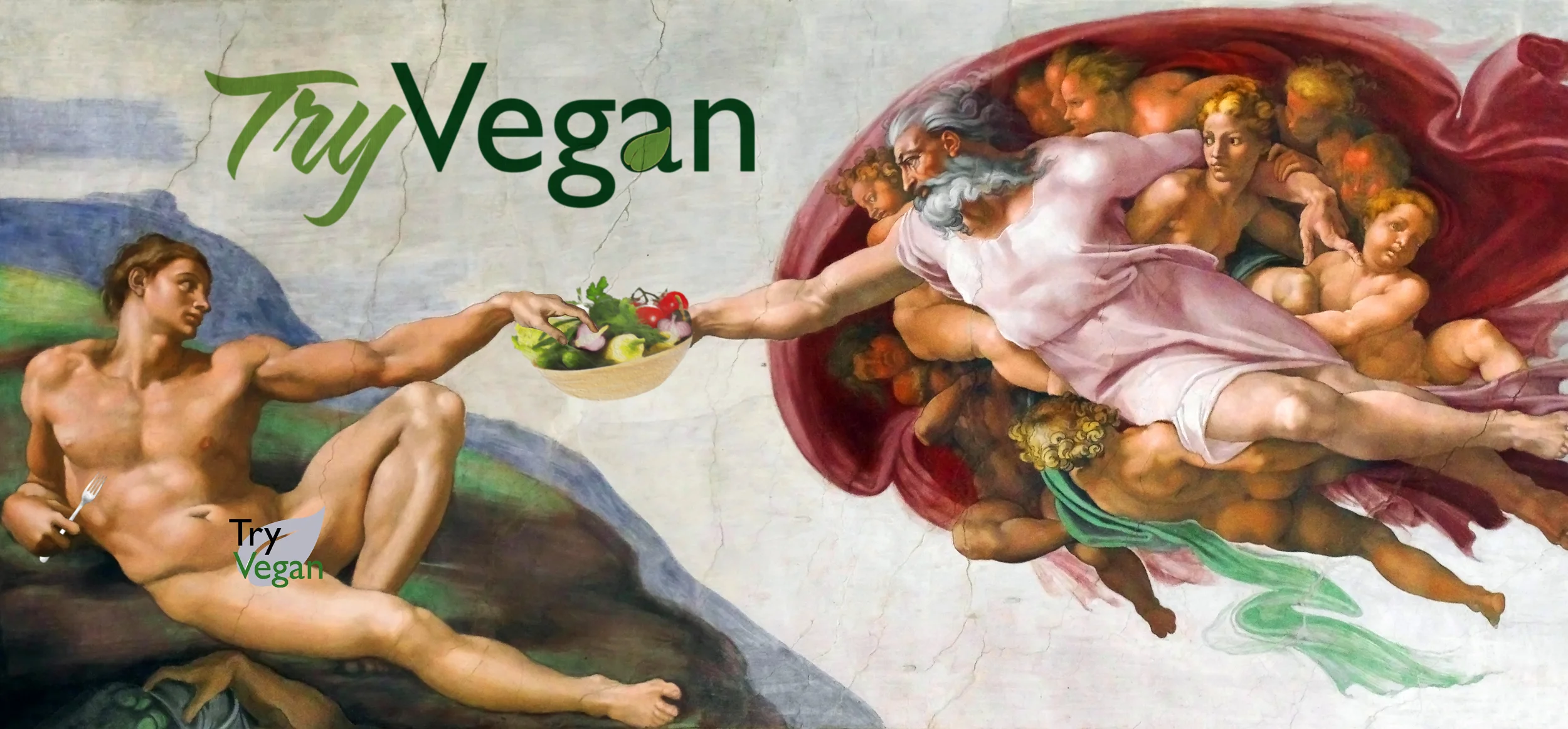 Adam Jpg.jpg