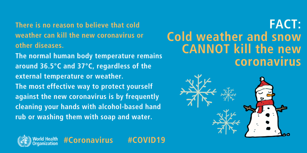  Can cold weather and snow kill the new coronavirus? 