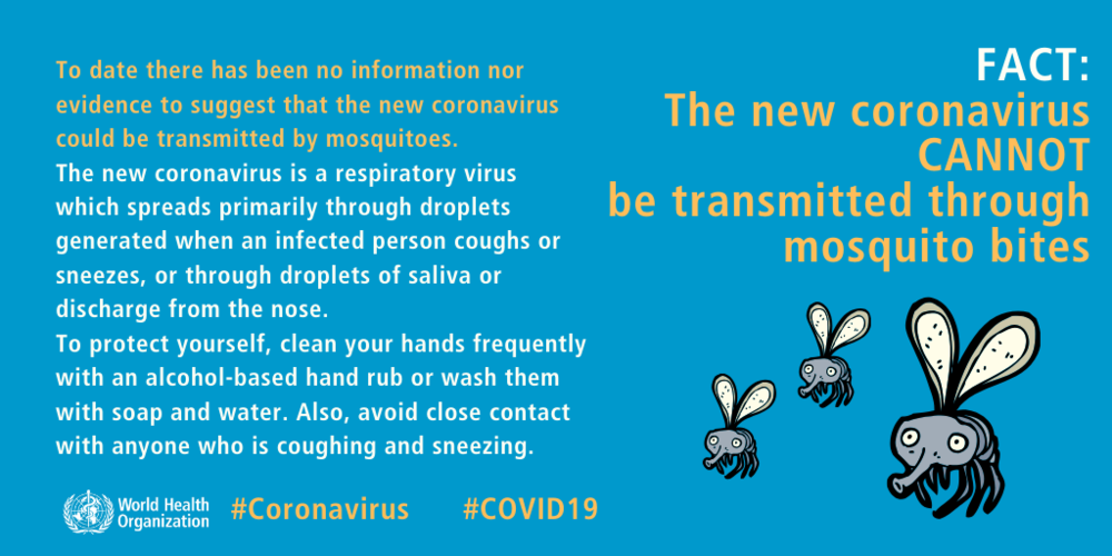  Does the new coronavirus get transmitted through mosquito bites? 