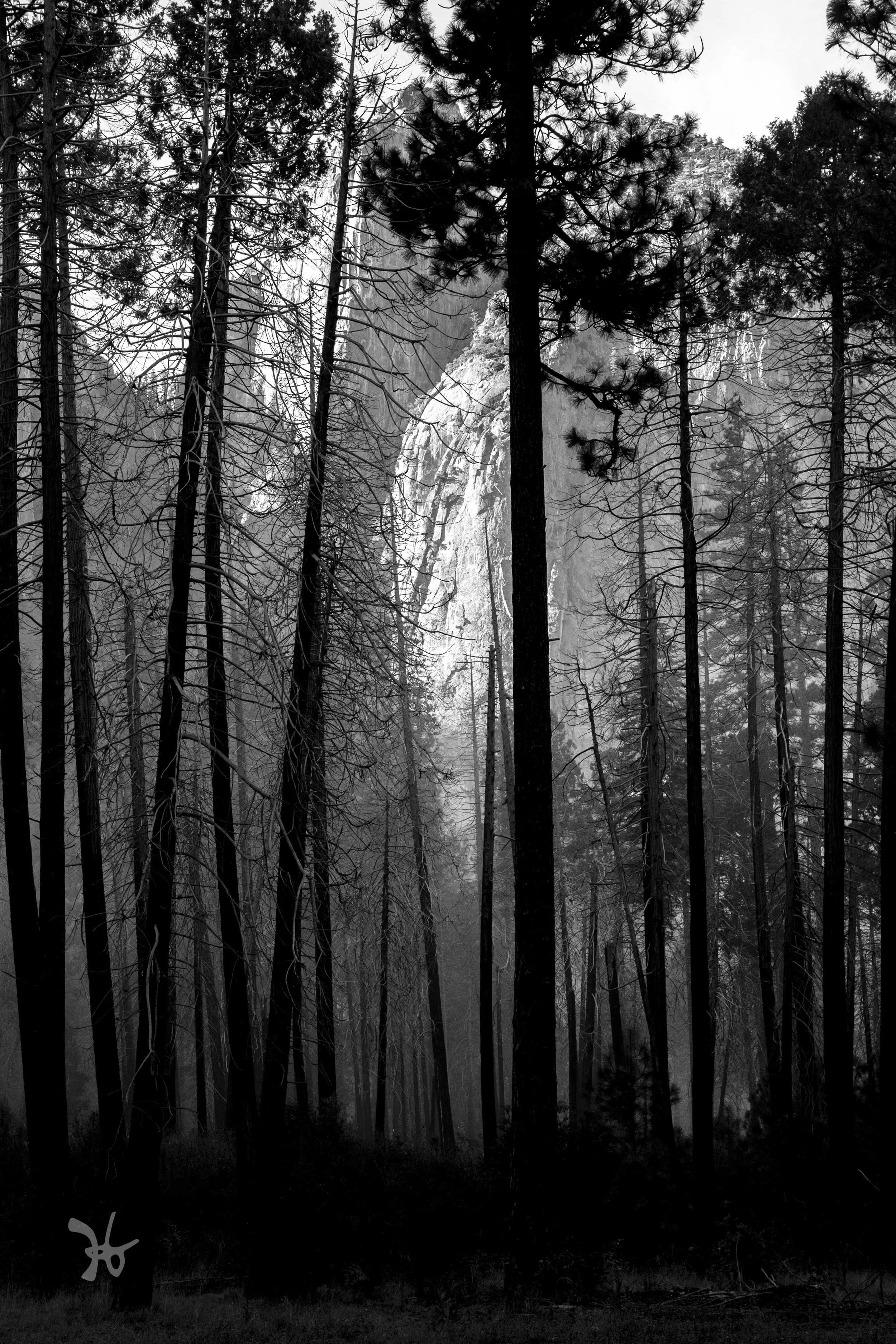 Yosemite National Park, CA