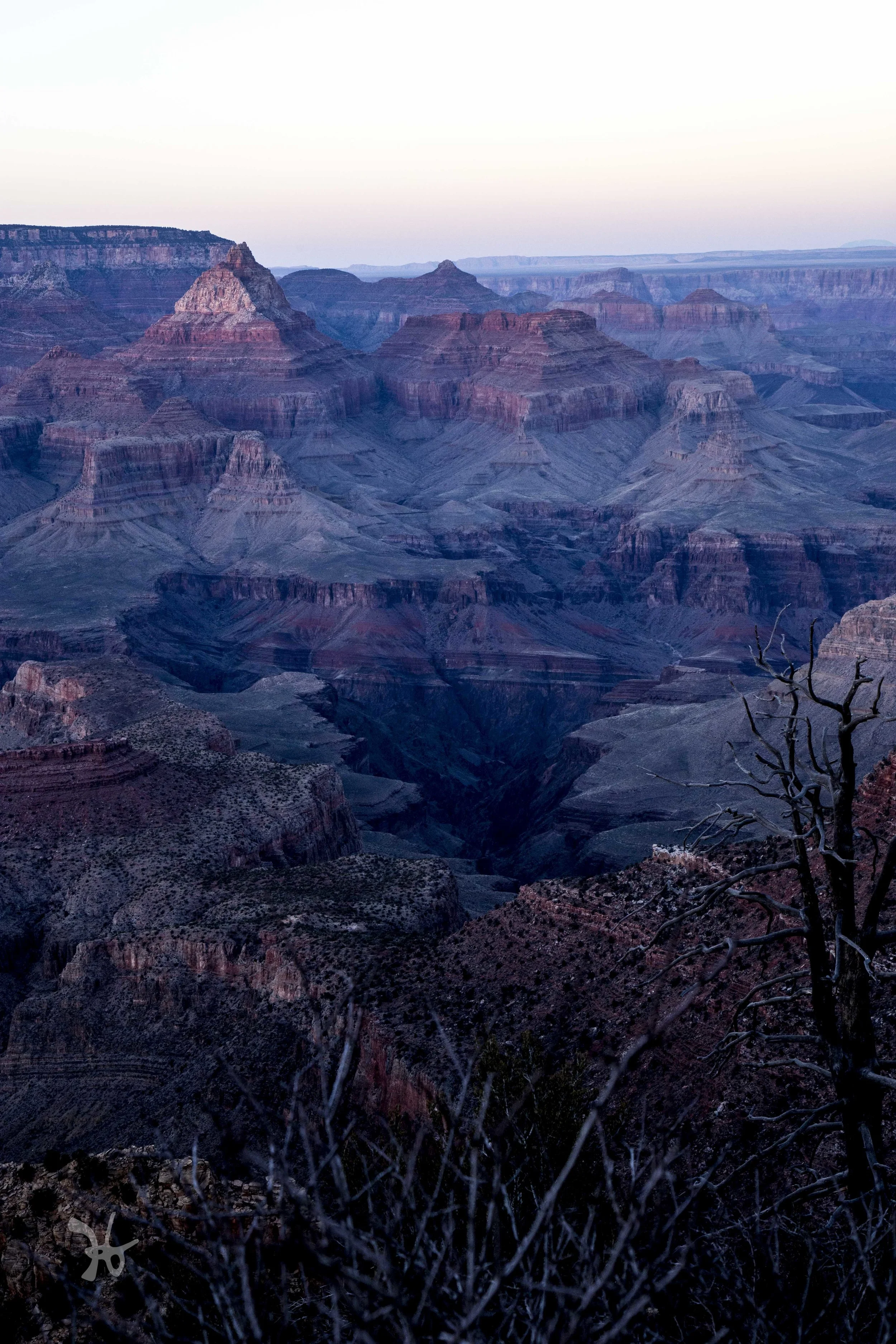 The Grand Canyon, AZ