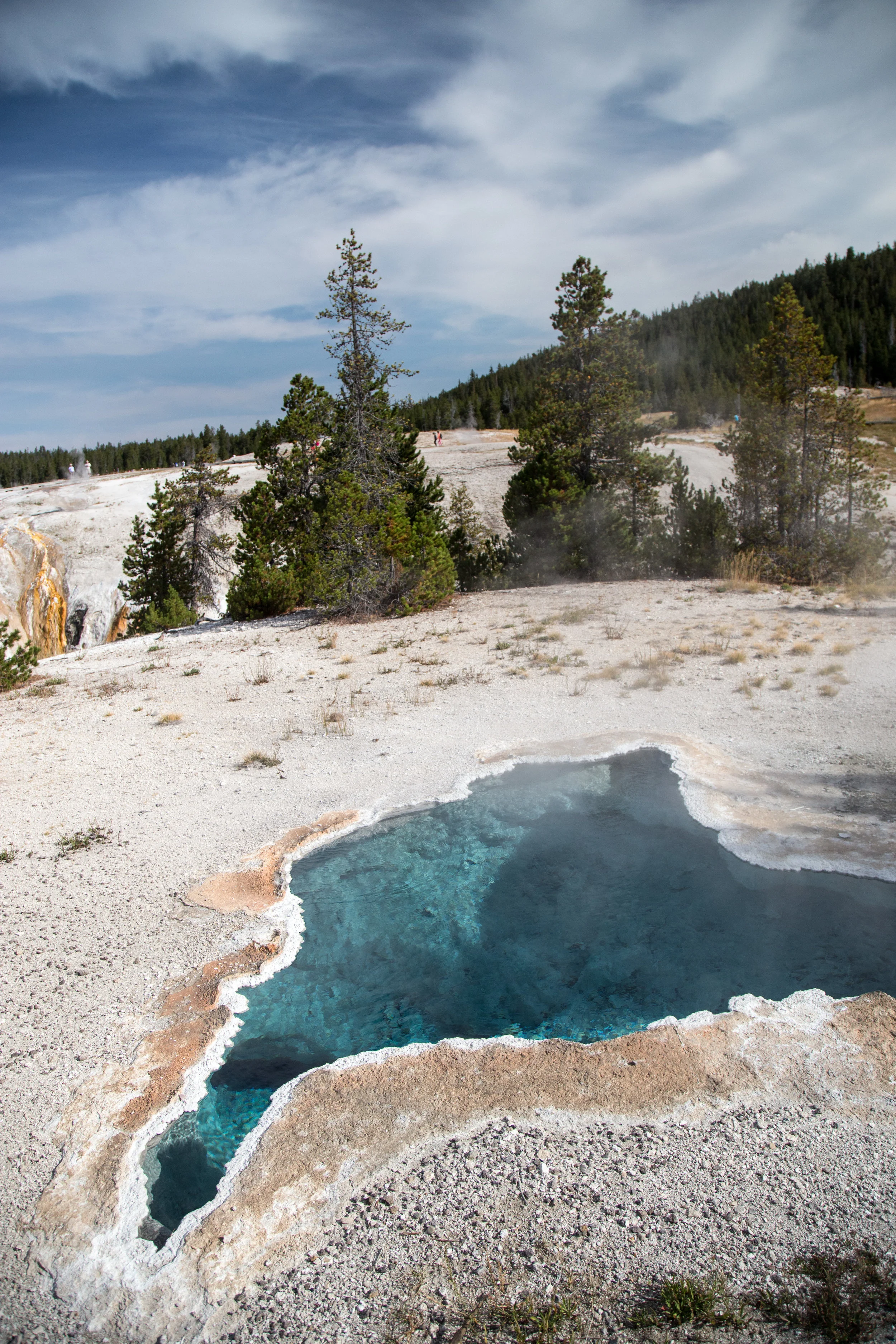 Blue Star Spring