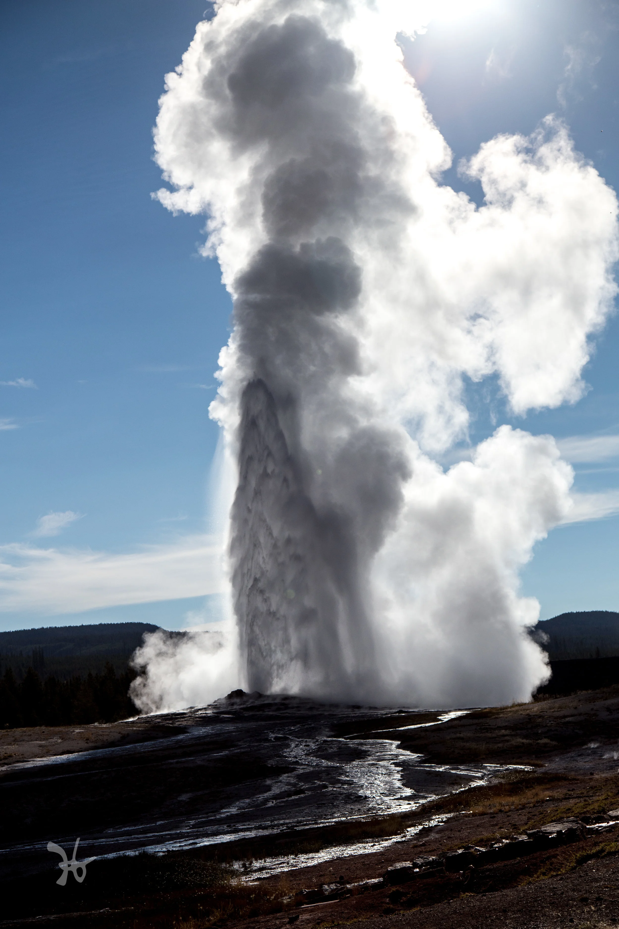 Old Faithful