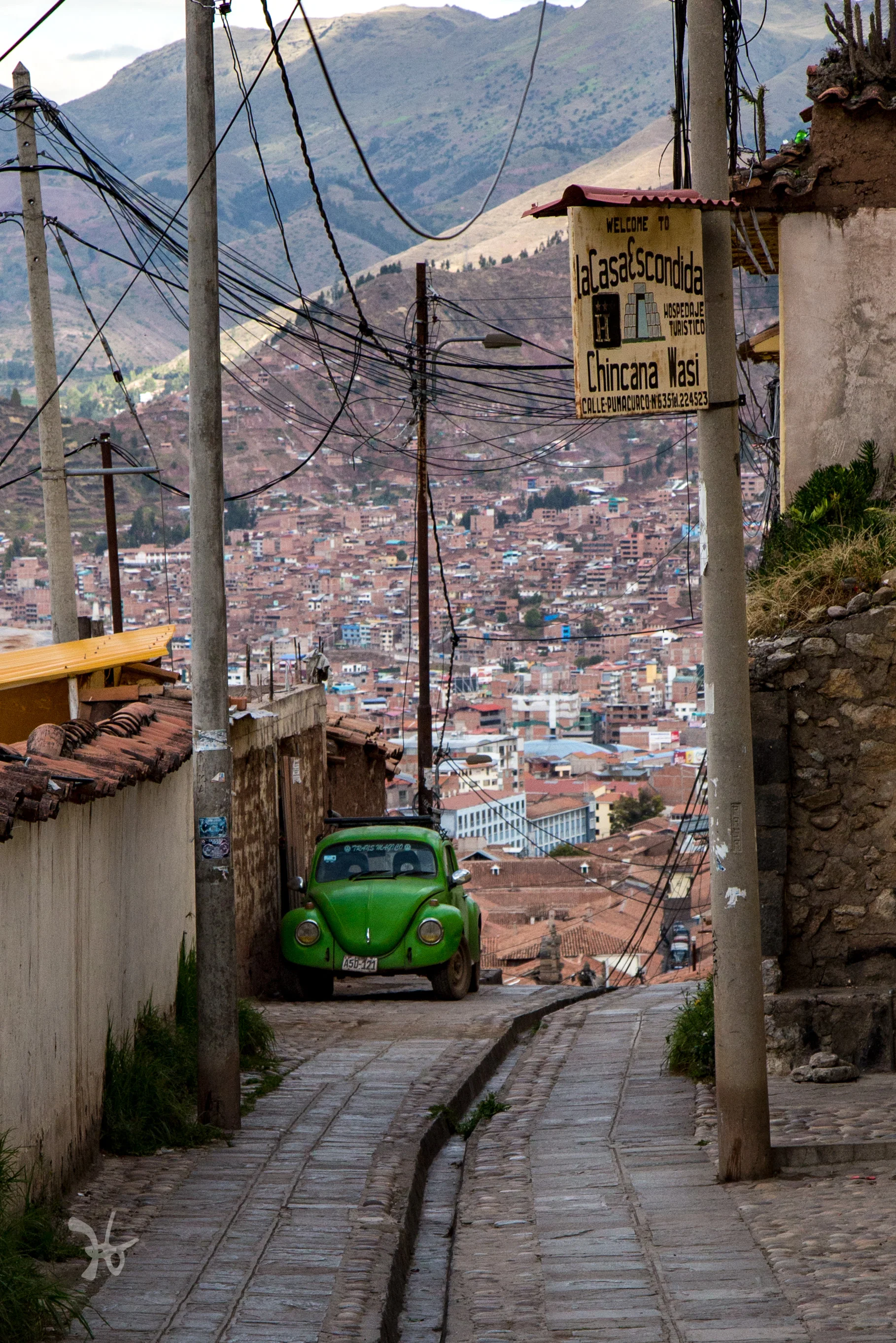 alley with a green beetle