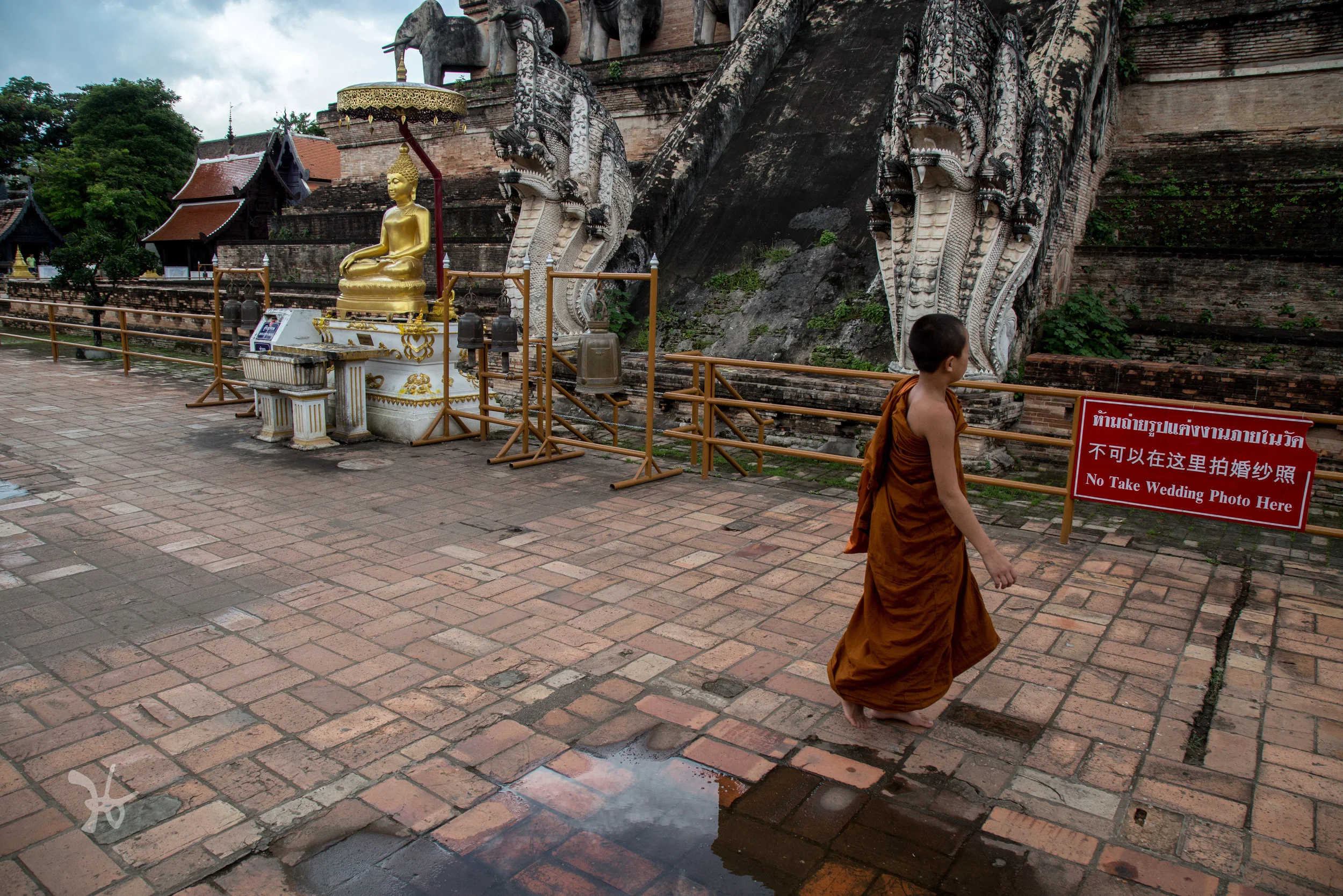 young monk, Chiang Mai