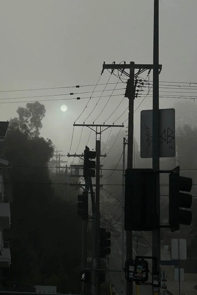 C3607A51-9CCC-4E0A-9AA5-DE905771D2F3.jpg