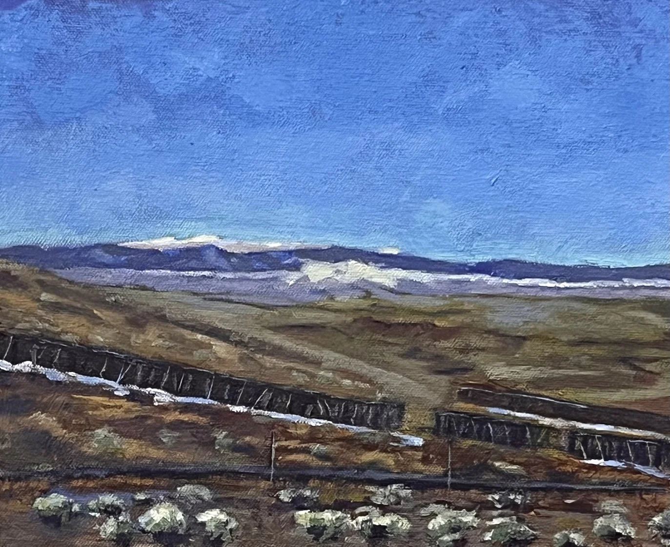 SNOWY RANGE - SNOW FENCE