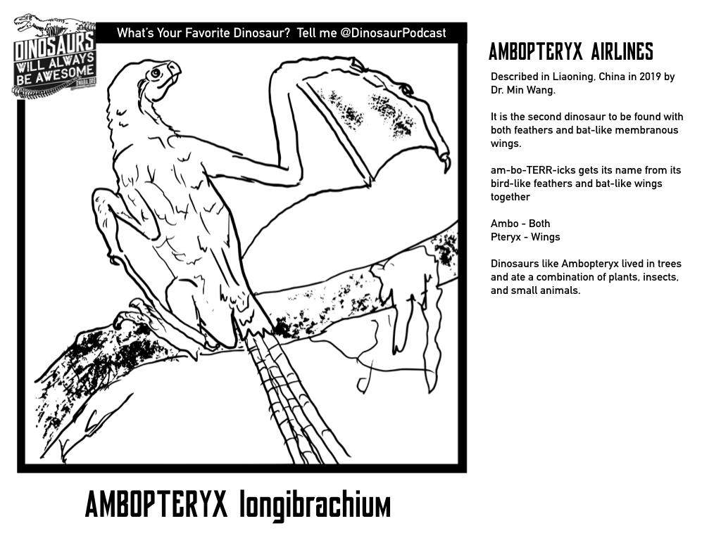 Ambopteryx