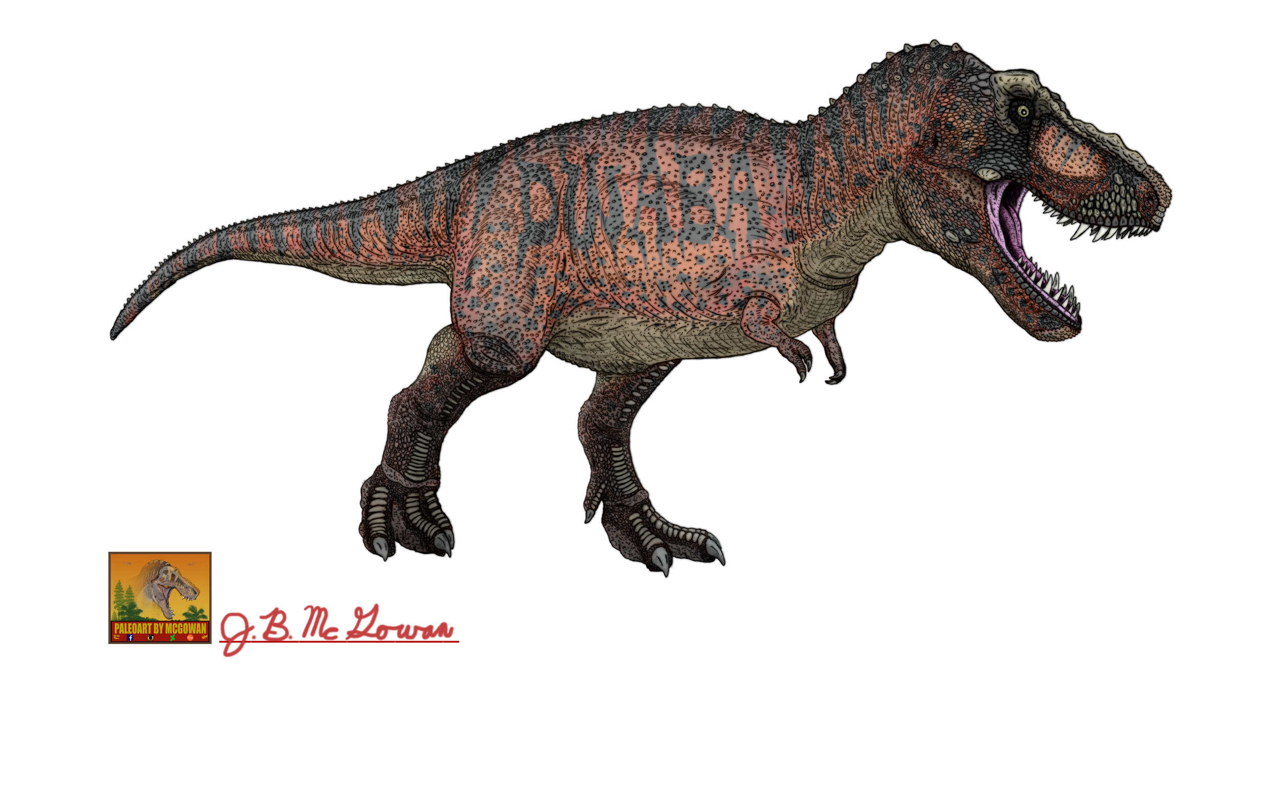 Tyrannosaurus rex  | J. B. McGowan