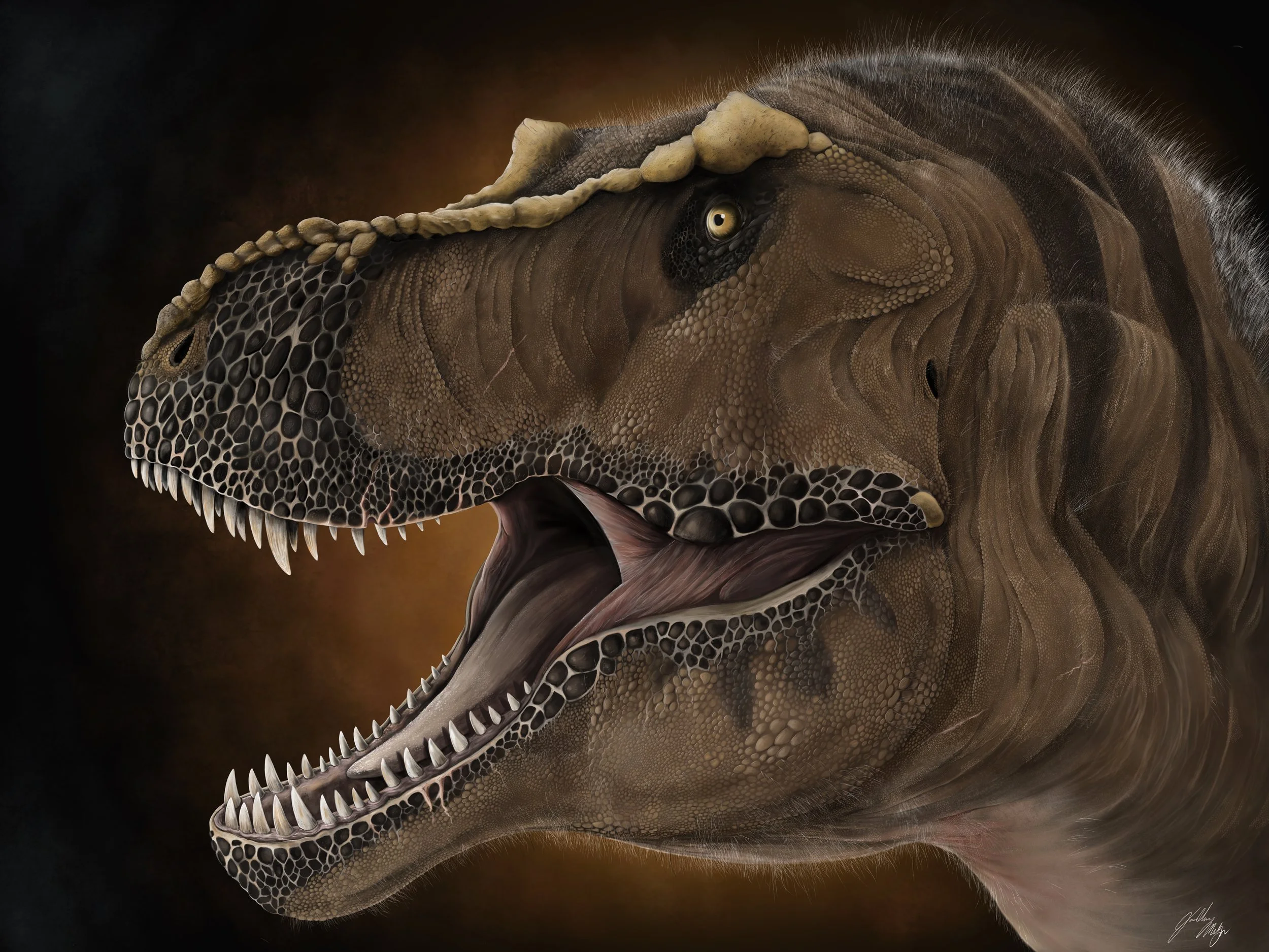 Untitled_Artwork 17.jpg