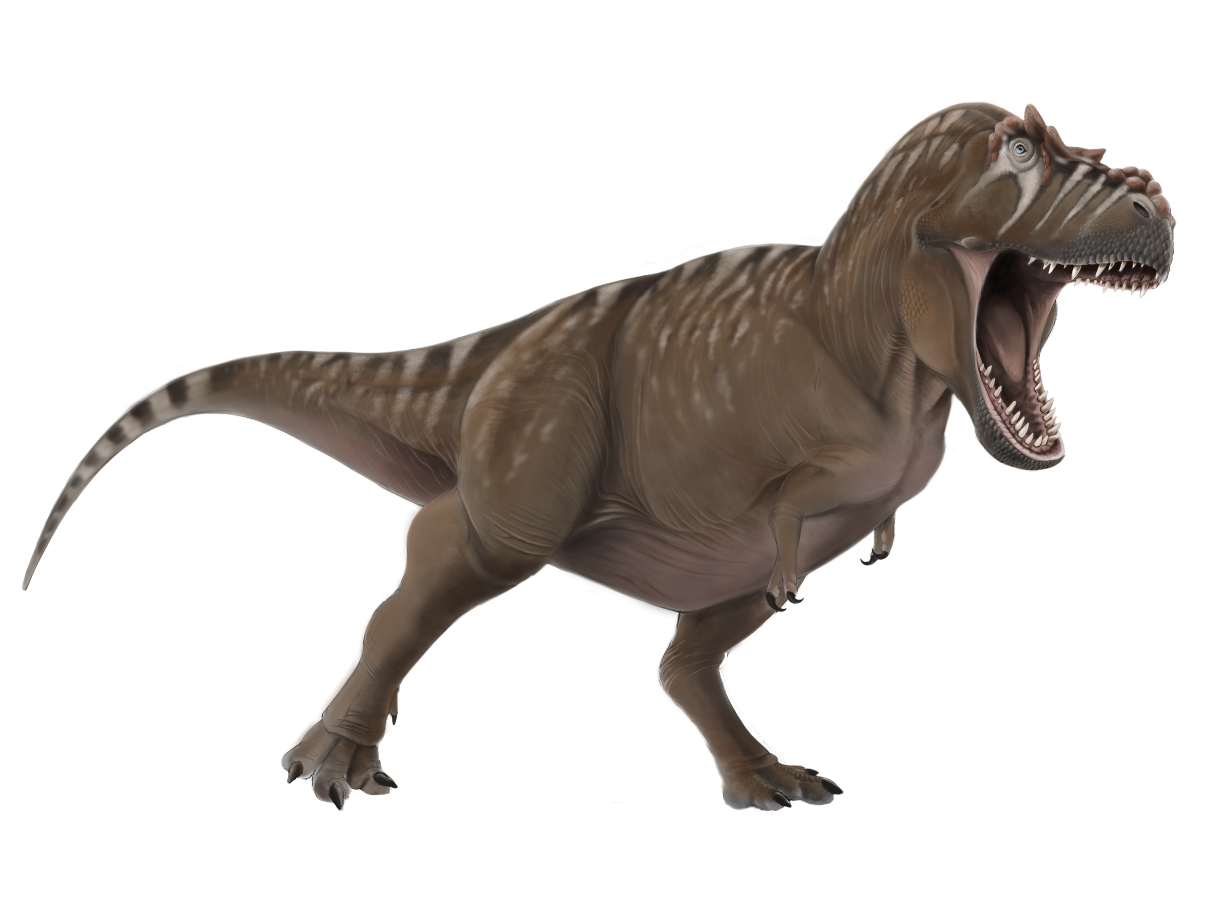 Untitled_Artwork 12.png