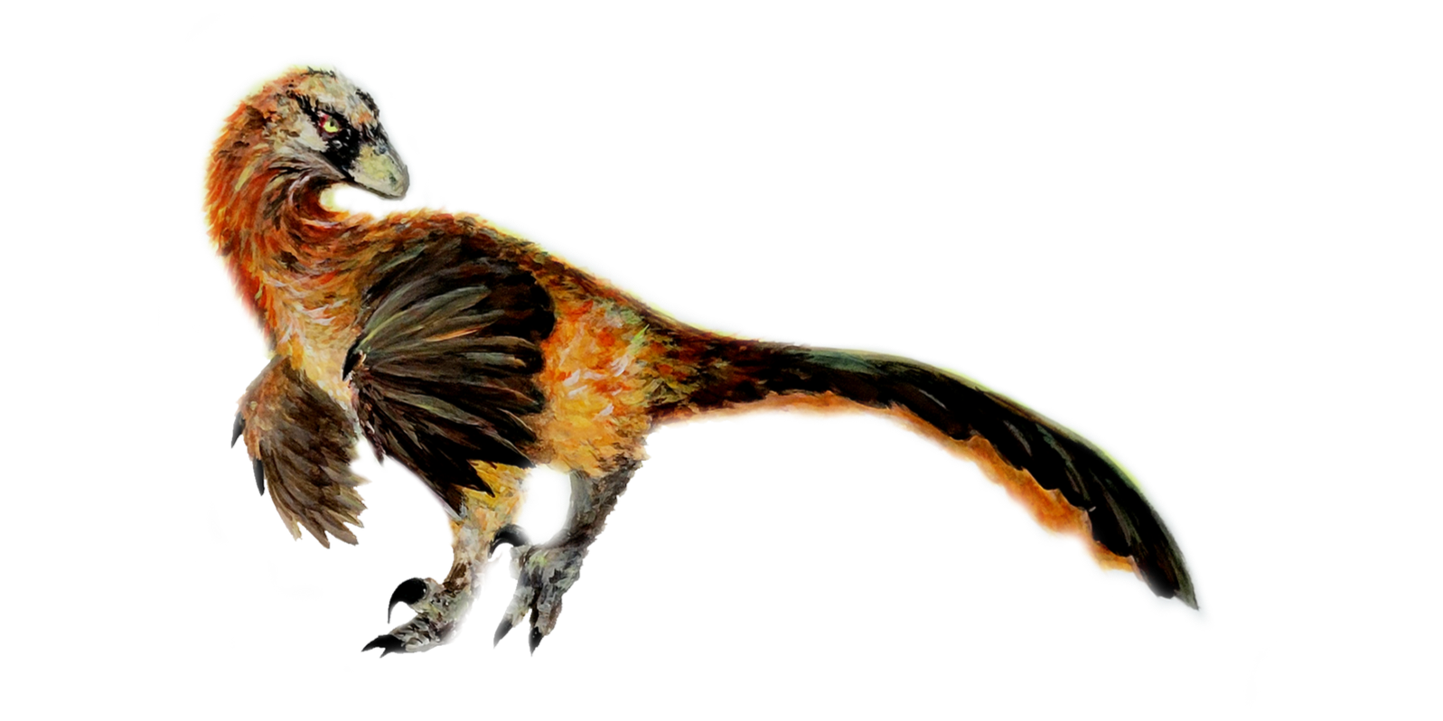 Deinonychus antirrhopus | Amanda Perry