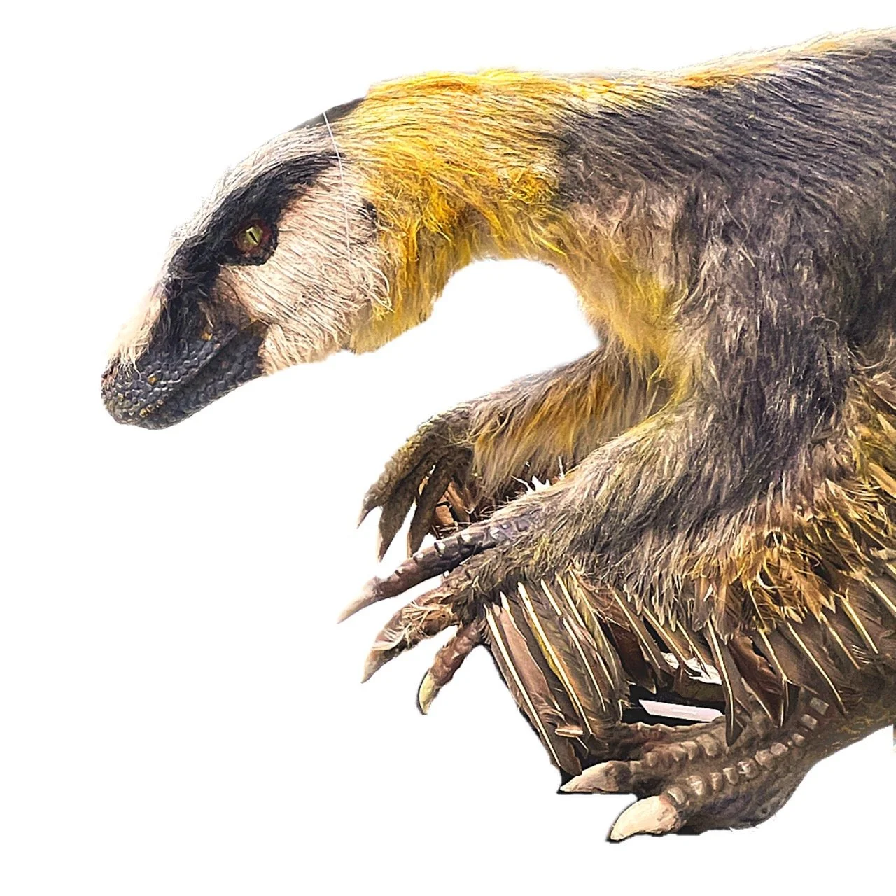 Poe the Deinonychus | Self Portrait