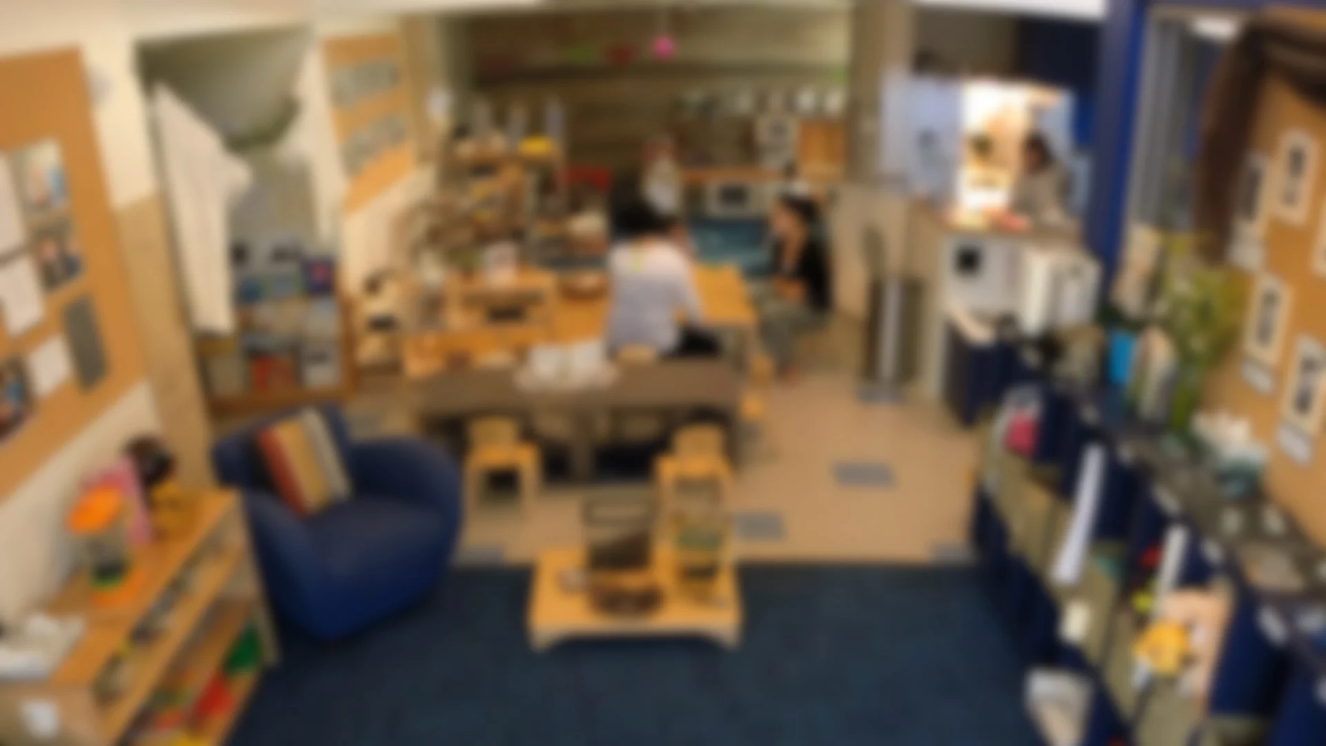 DCC Blurred Still.jpg