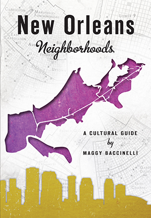 NOLANeighborhoods.png