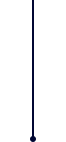 line.png