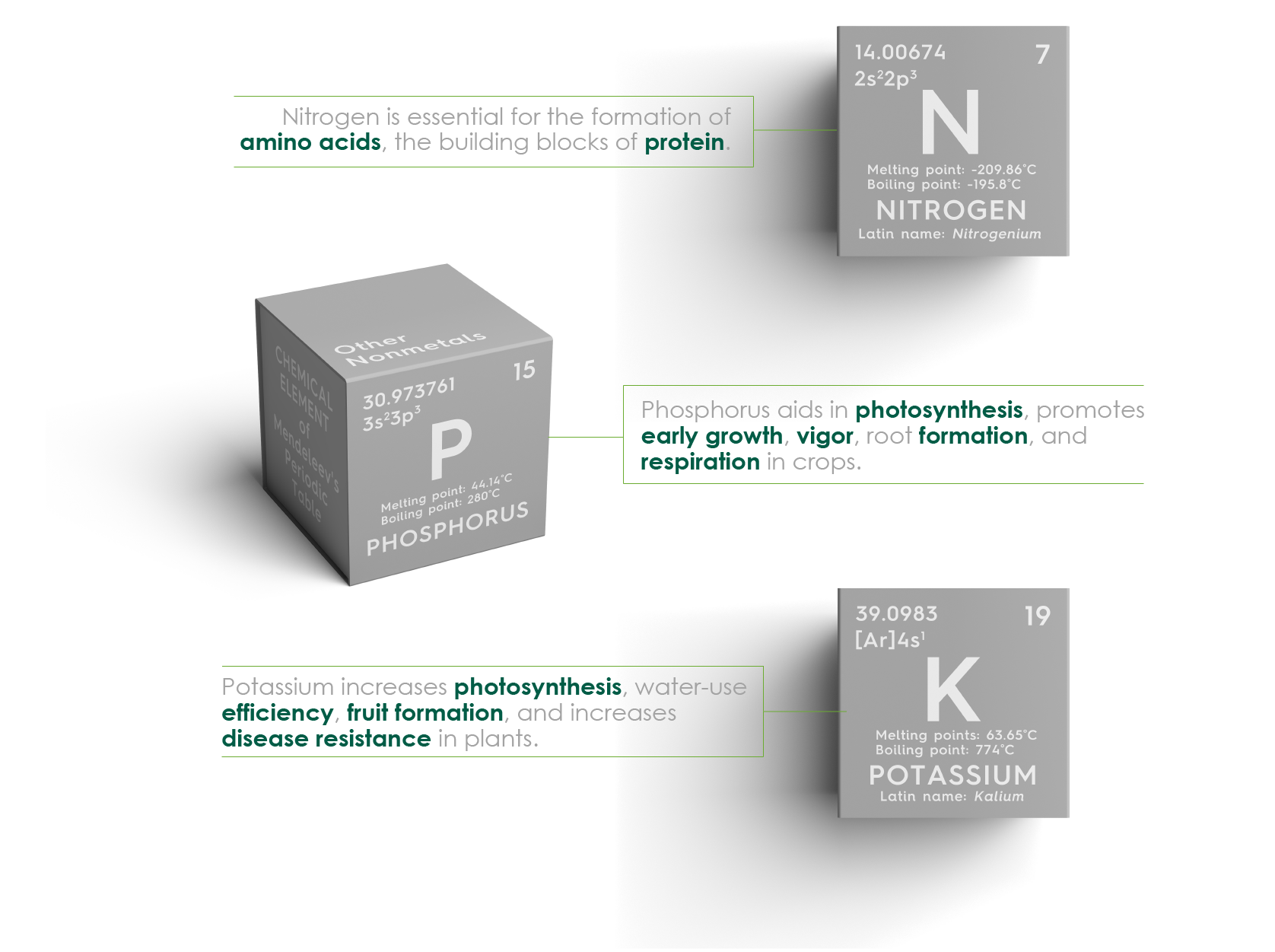 NPK Image-01.png