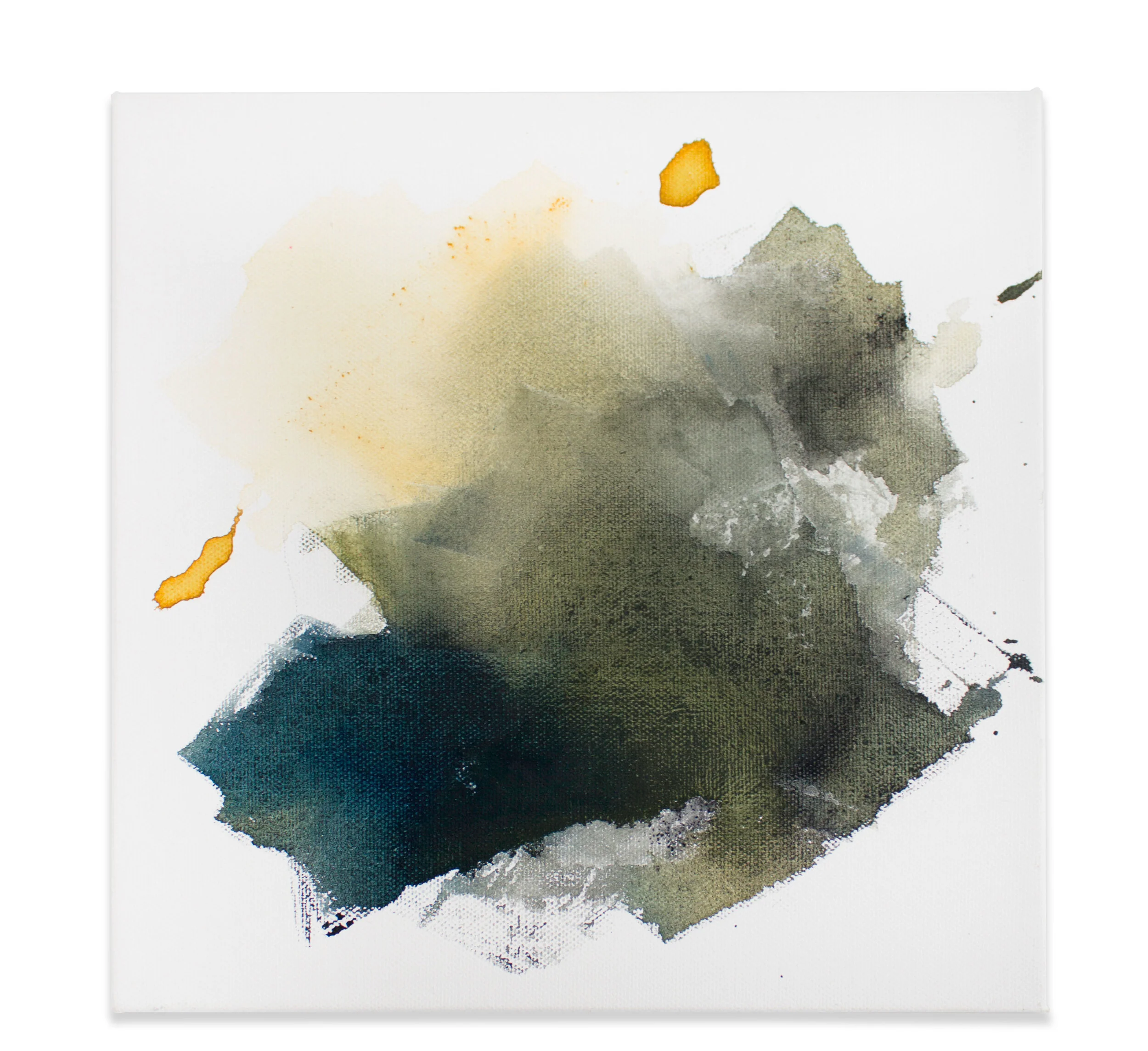 LICHEN COLOR STUDY I / water-soluble pastel on canvas / 10 x 10 / 2019 / Contact to purchase