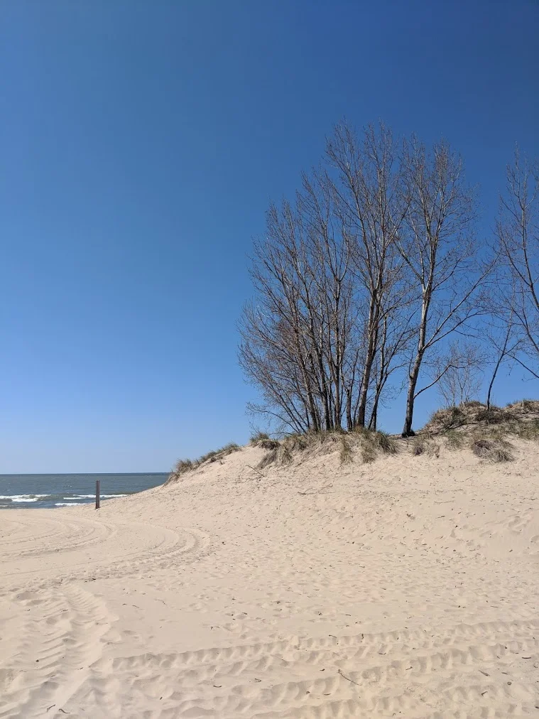 silverbeach.jpg