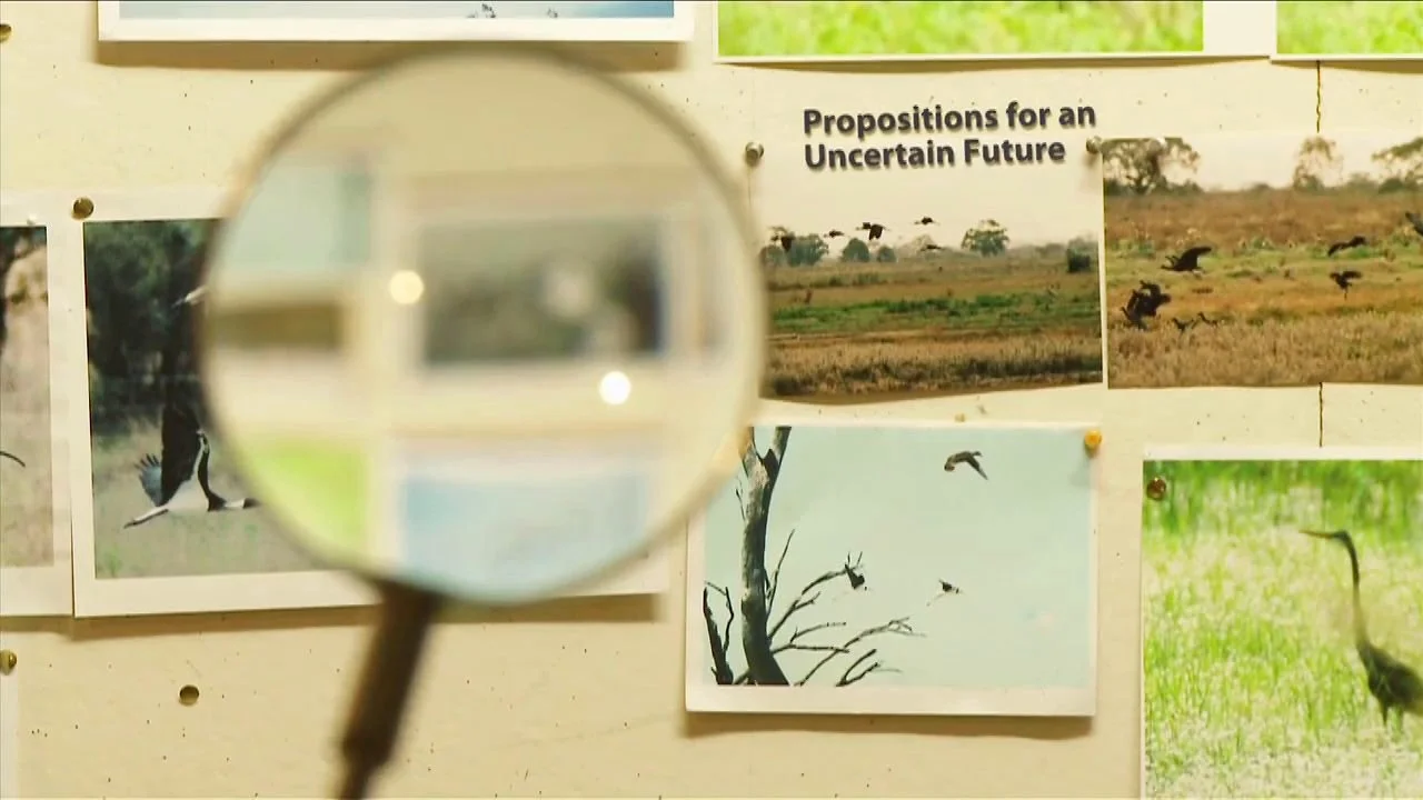 Propositions for an Uncertain Future:  John Wolseley