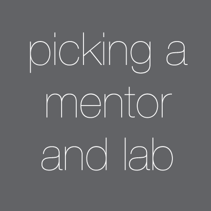 picking-a-mentor-and-lab.gif