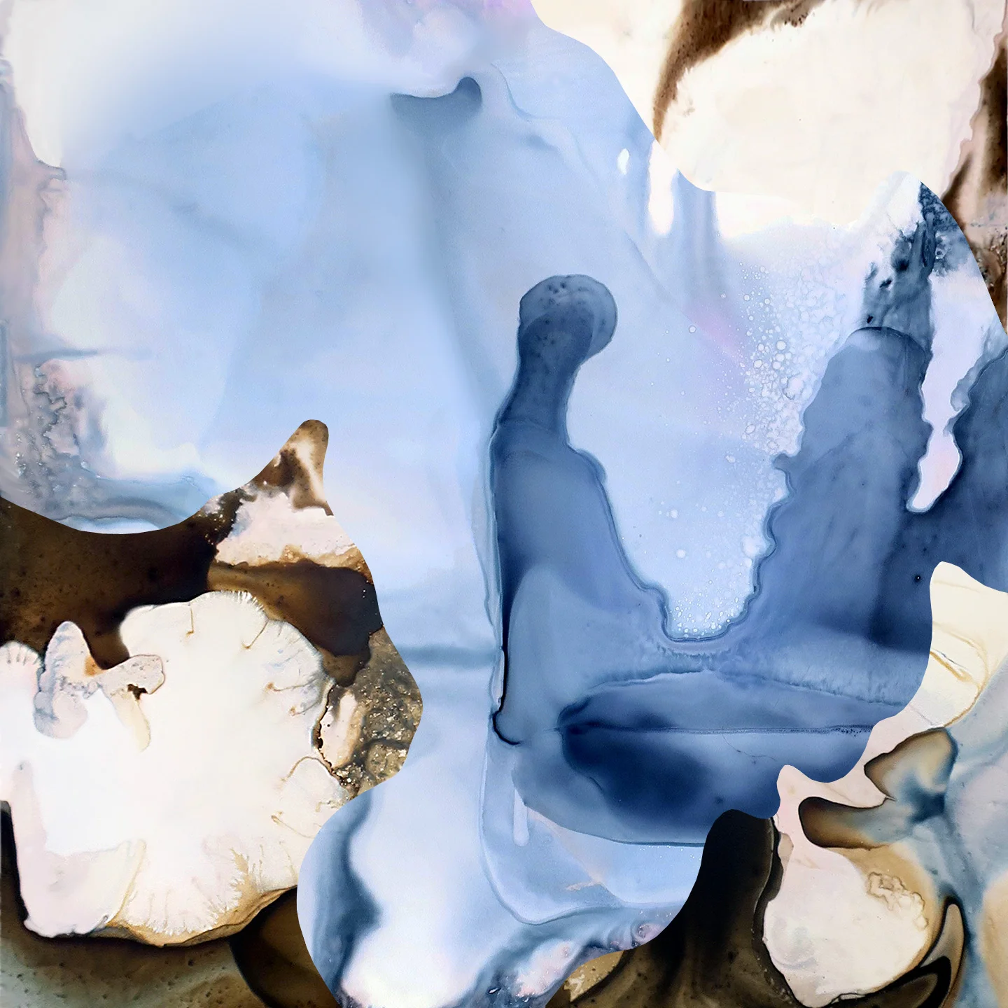 FLUX 23
