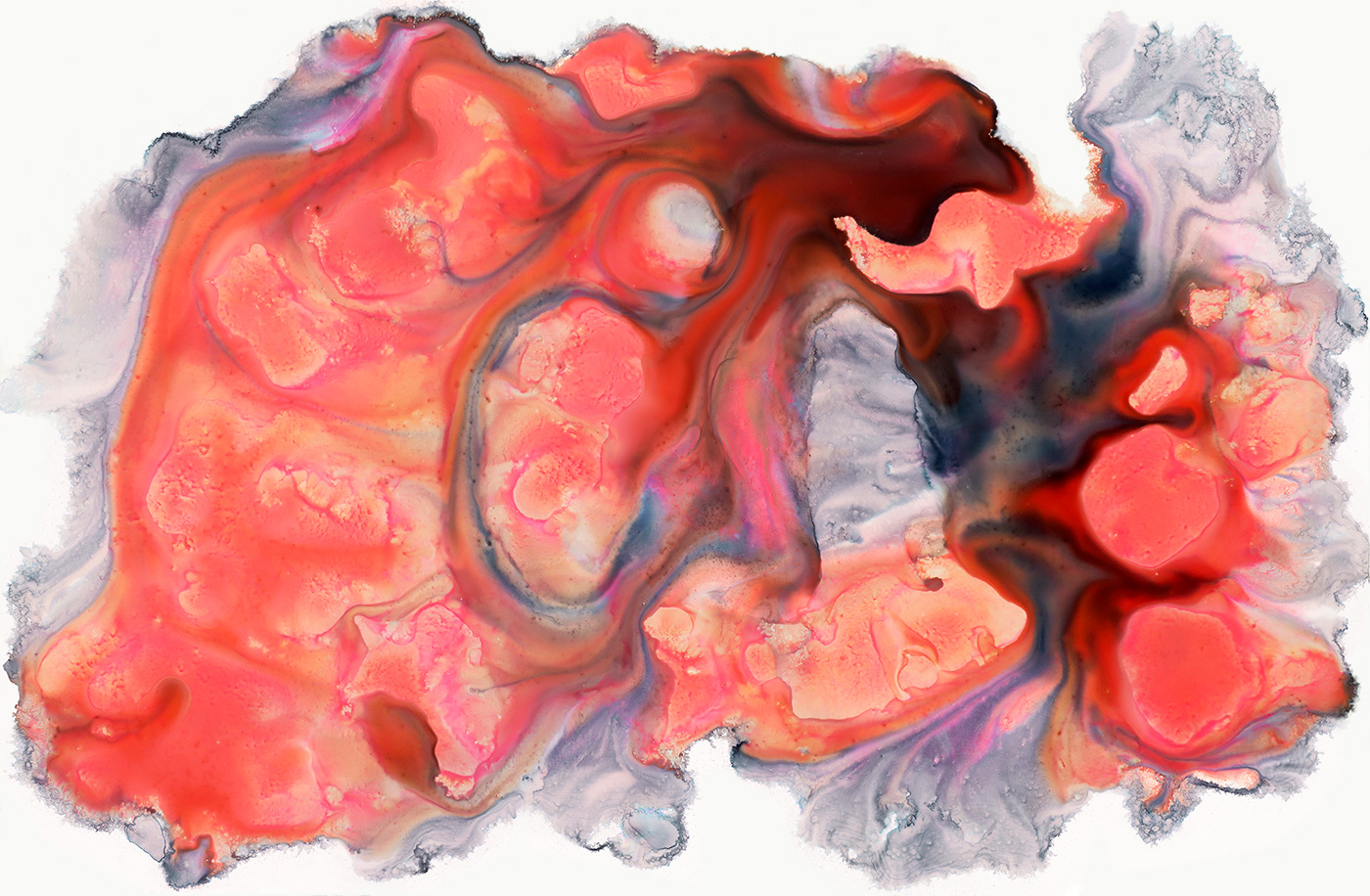 Primordia 10 , ink on paper on panel 26” x 40”