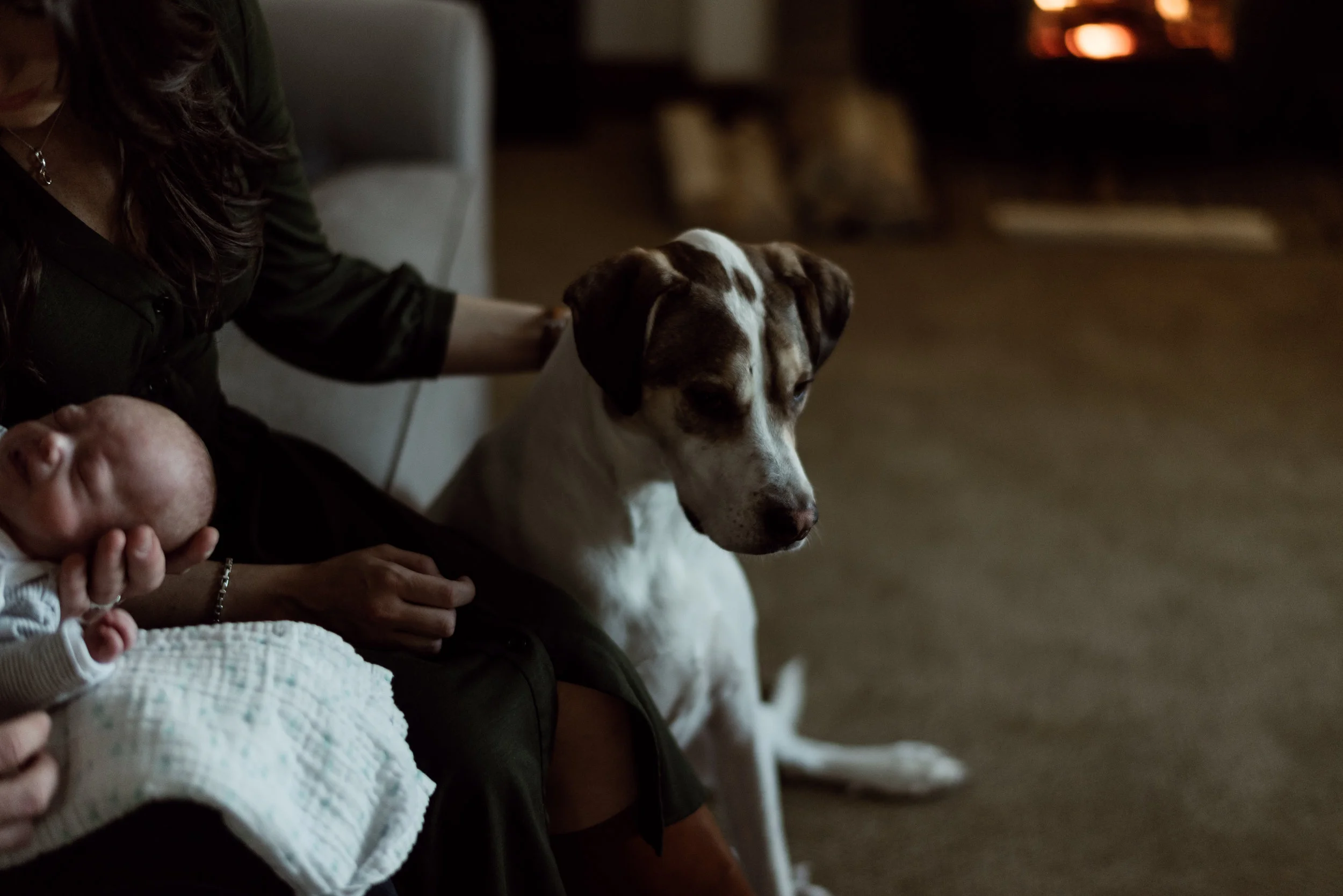 finn-alyssasorenson-18.jpg