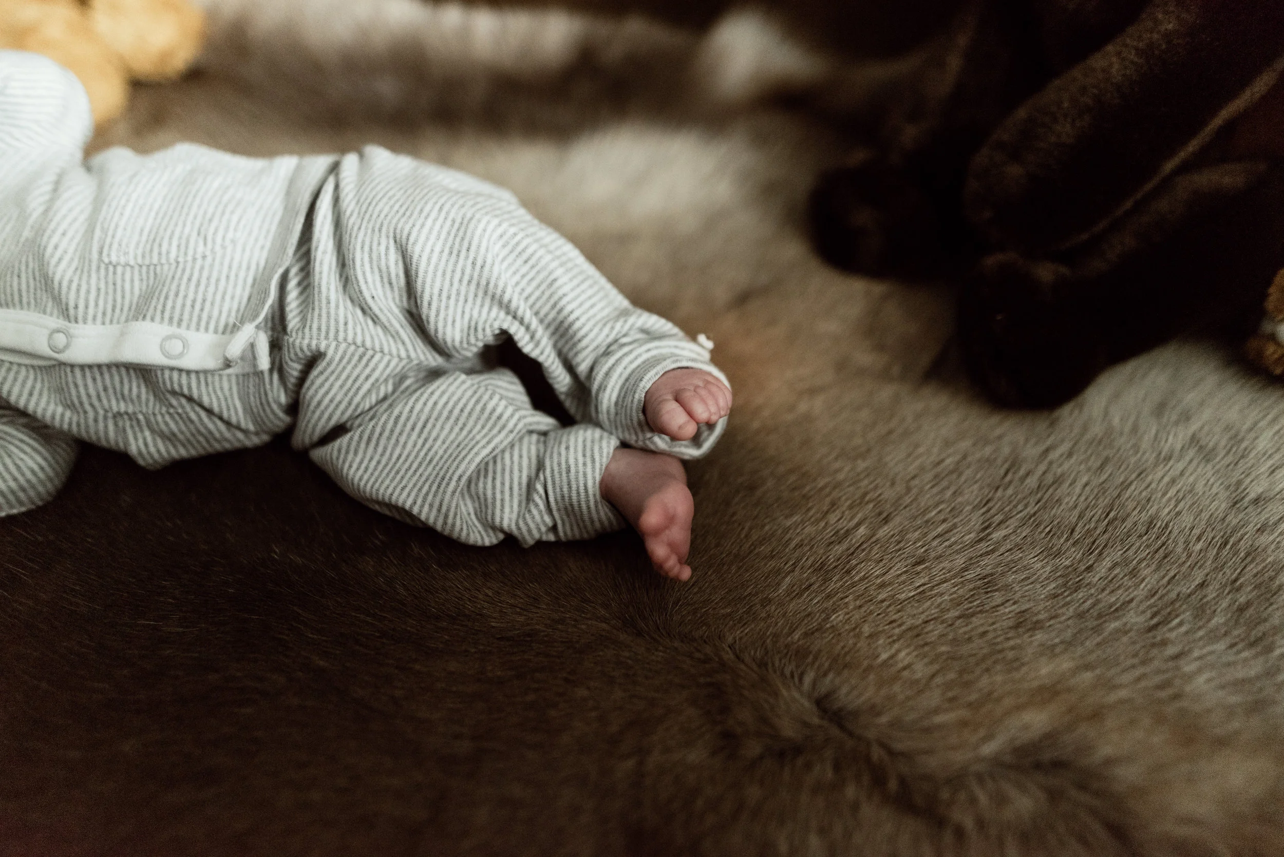 finn-alyssasorenson-43.jpg