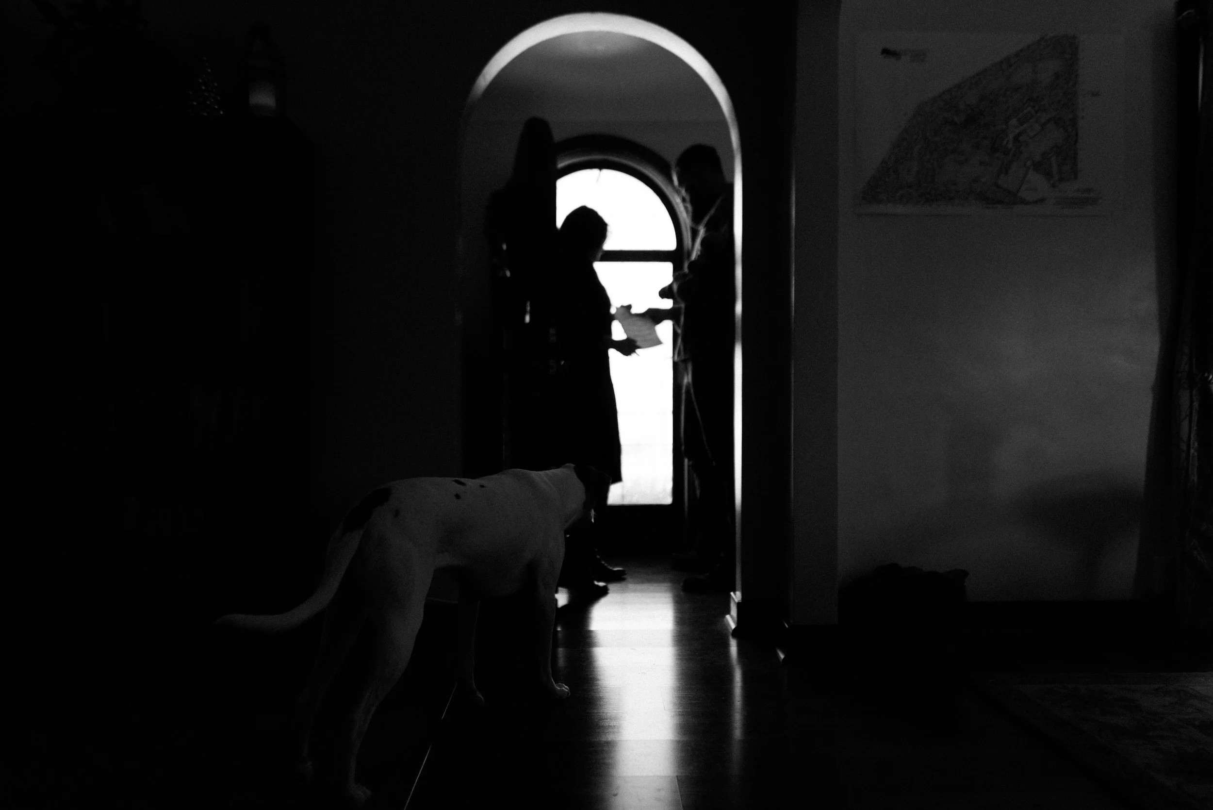 finn-alyssasorenson-141.jpg