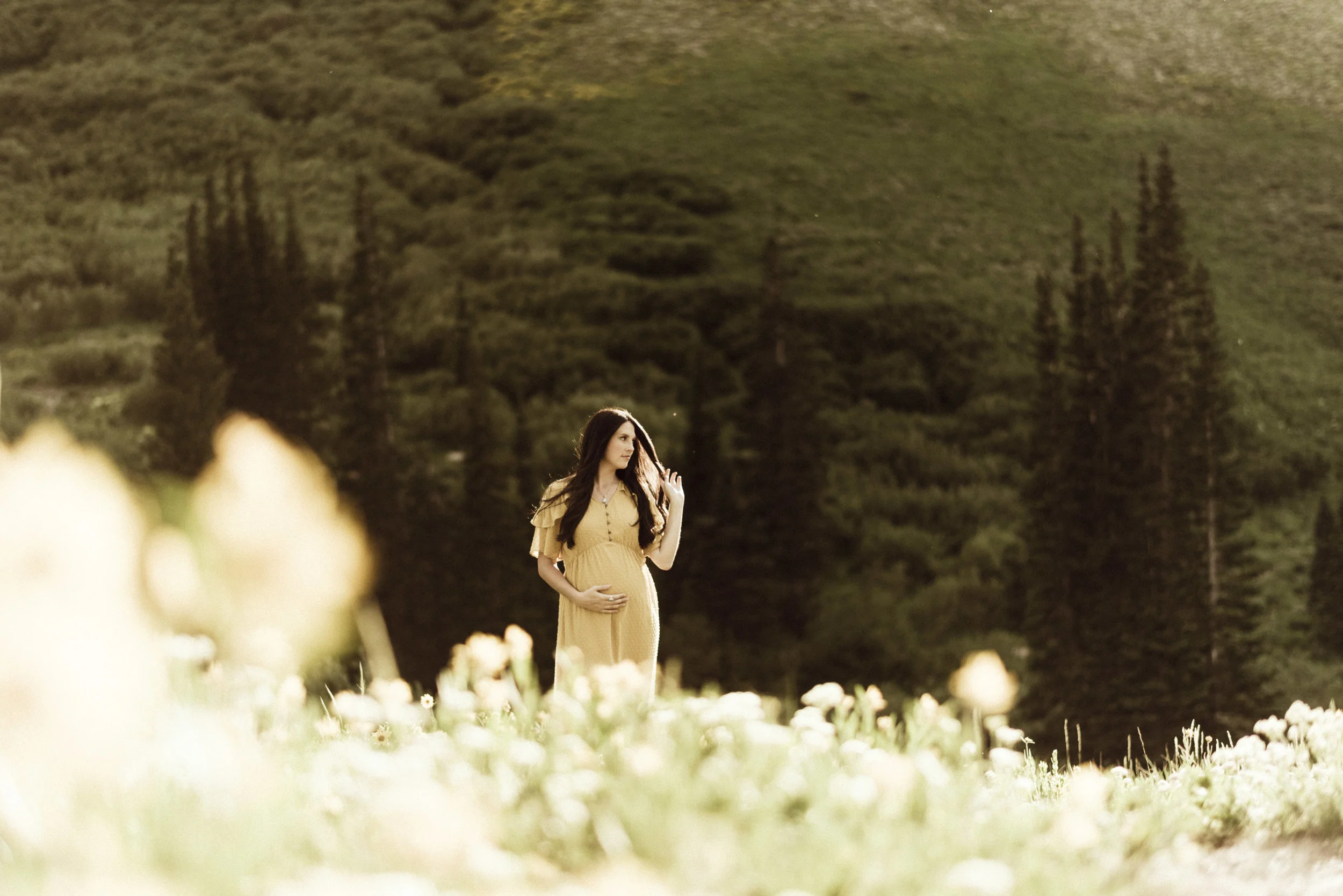 albion-basin-maternity-utah-16.jpg