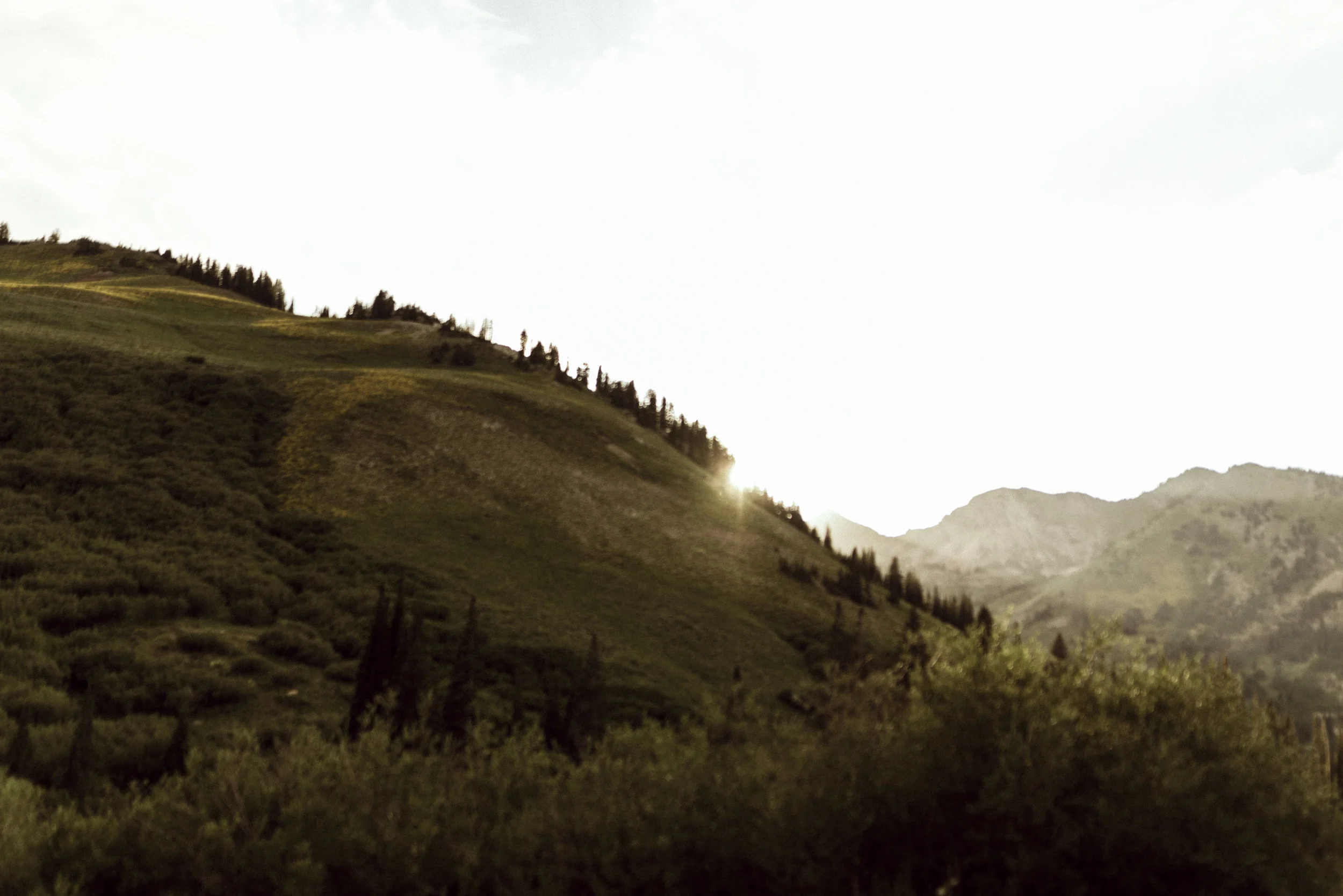 albion-basin-maternity-utah-55.jpg