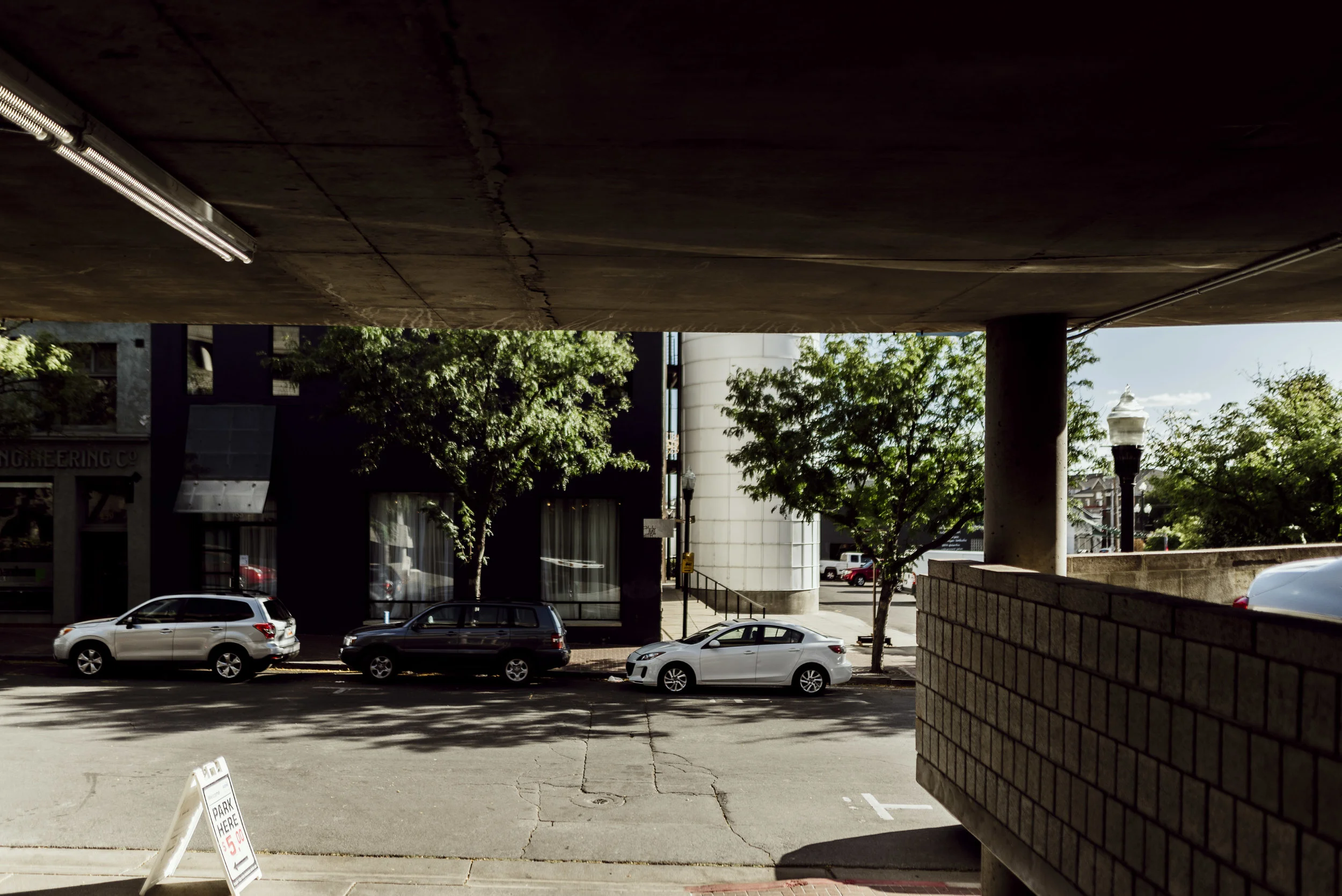 alyssasorenson-pierpont-place-1.jpg