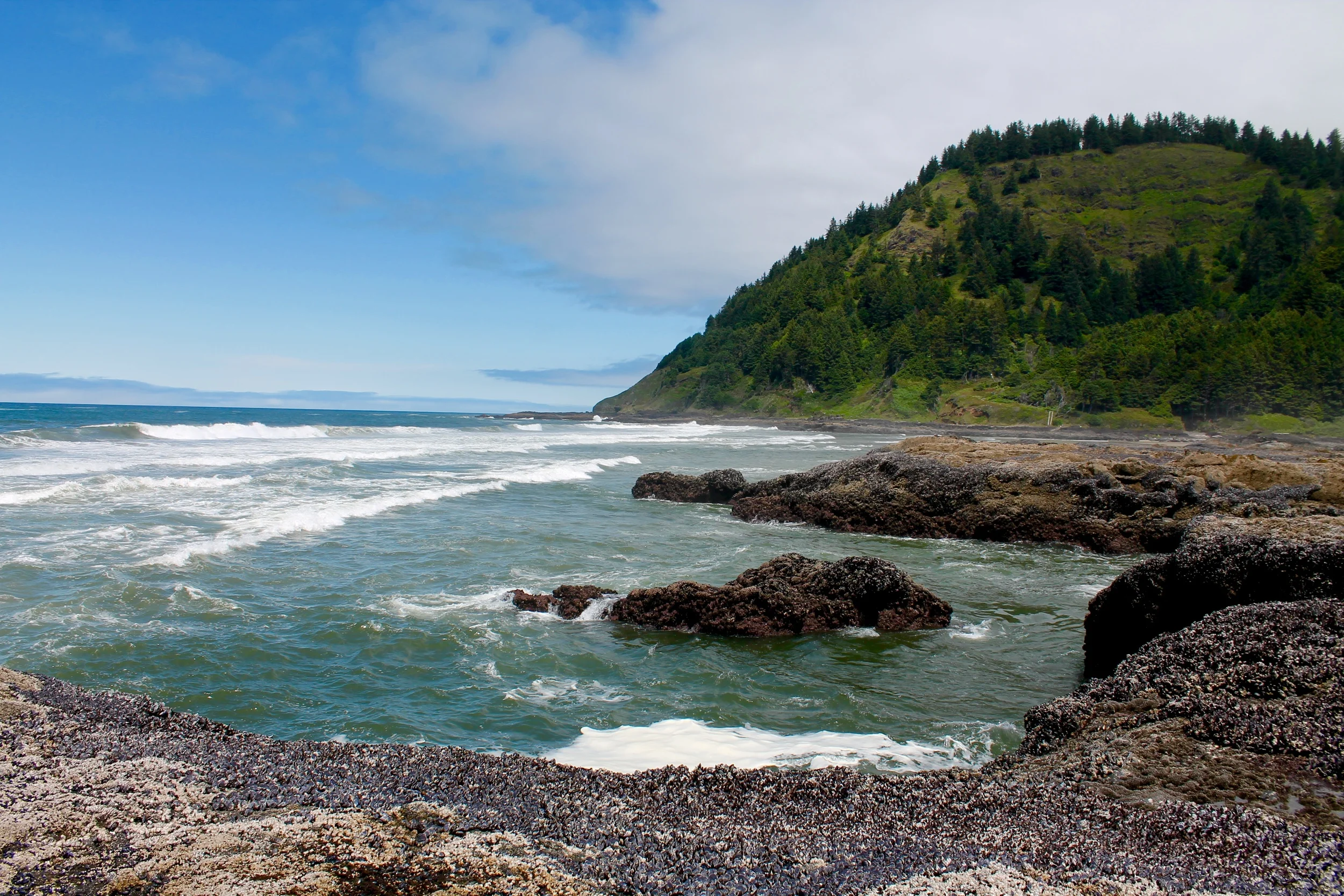 A Day Trip(s) to the Oregon Coast