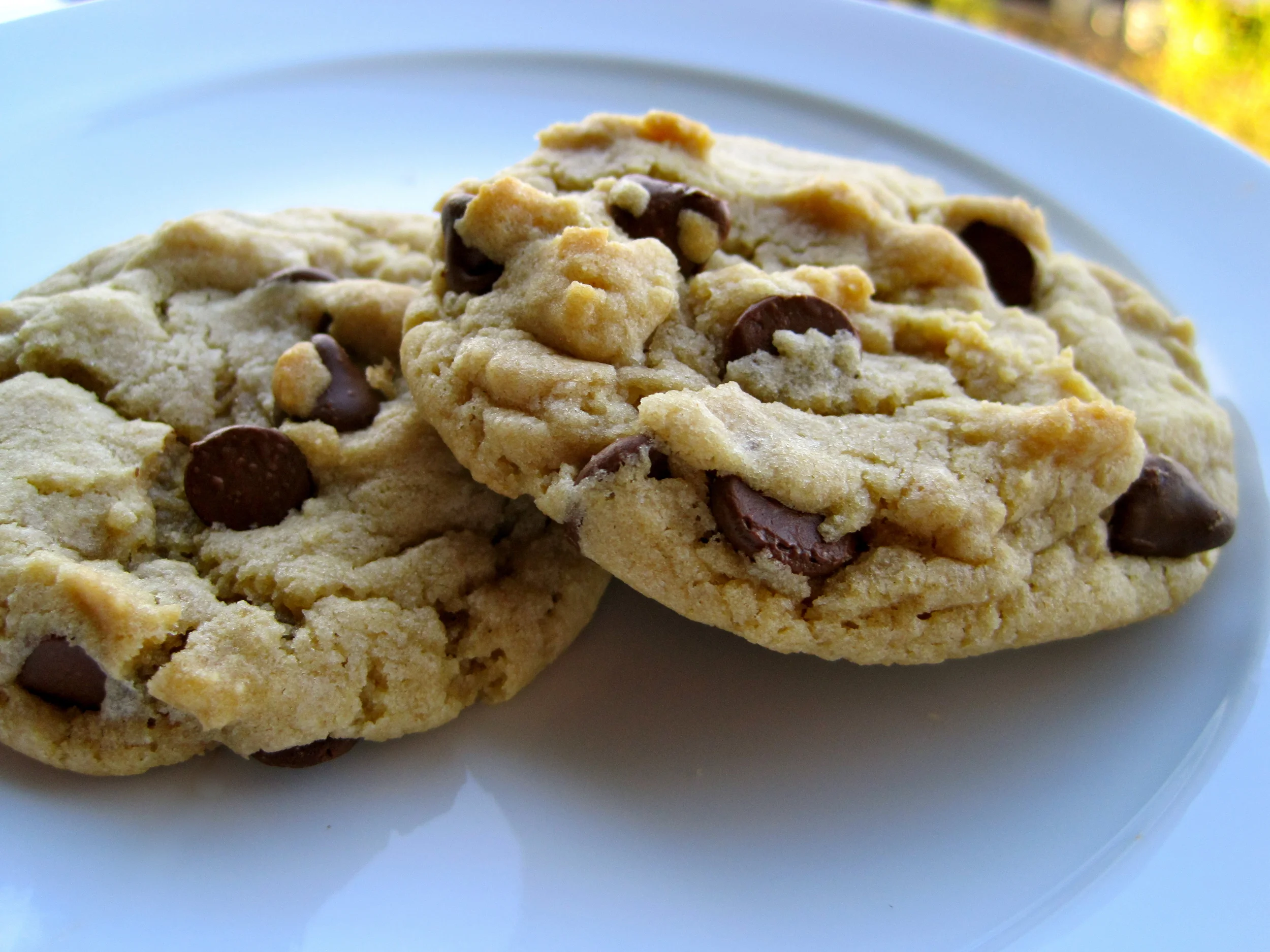 Soft and Chewy Chocolate Chip Cookies