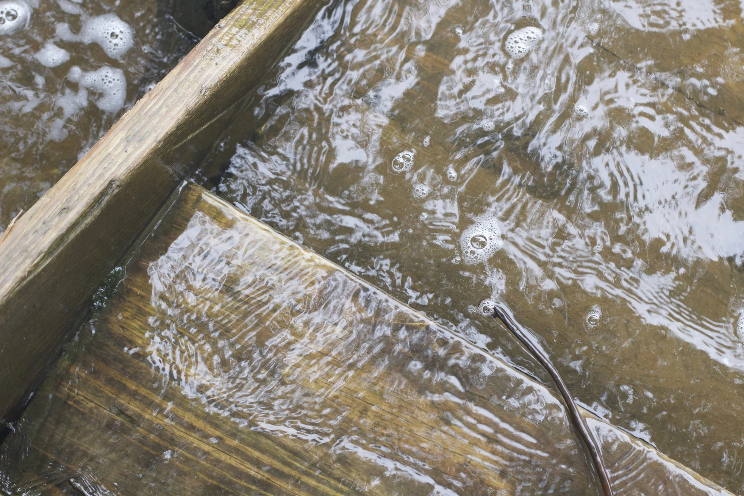 3_Water steps.jpeg