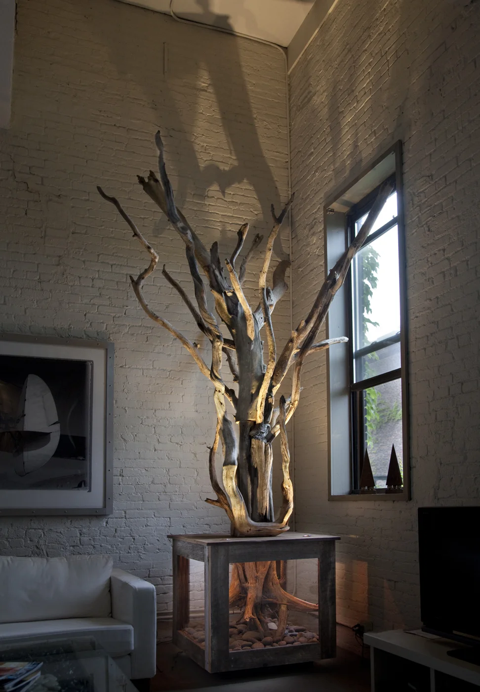 Lit tree_MG_8677.jpg