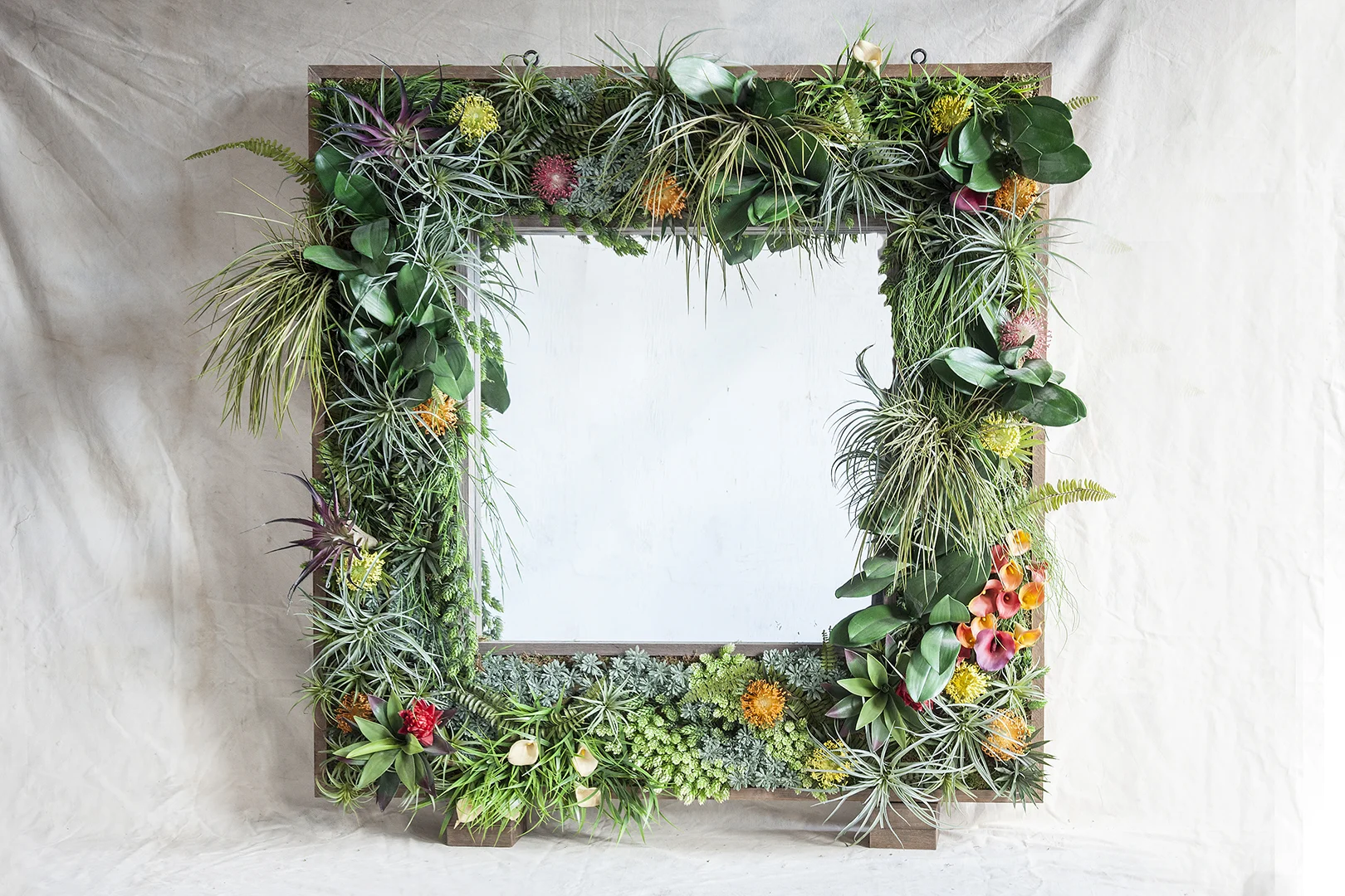 Tropical-Mirror-WEB.jpg