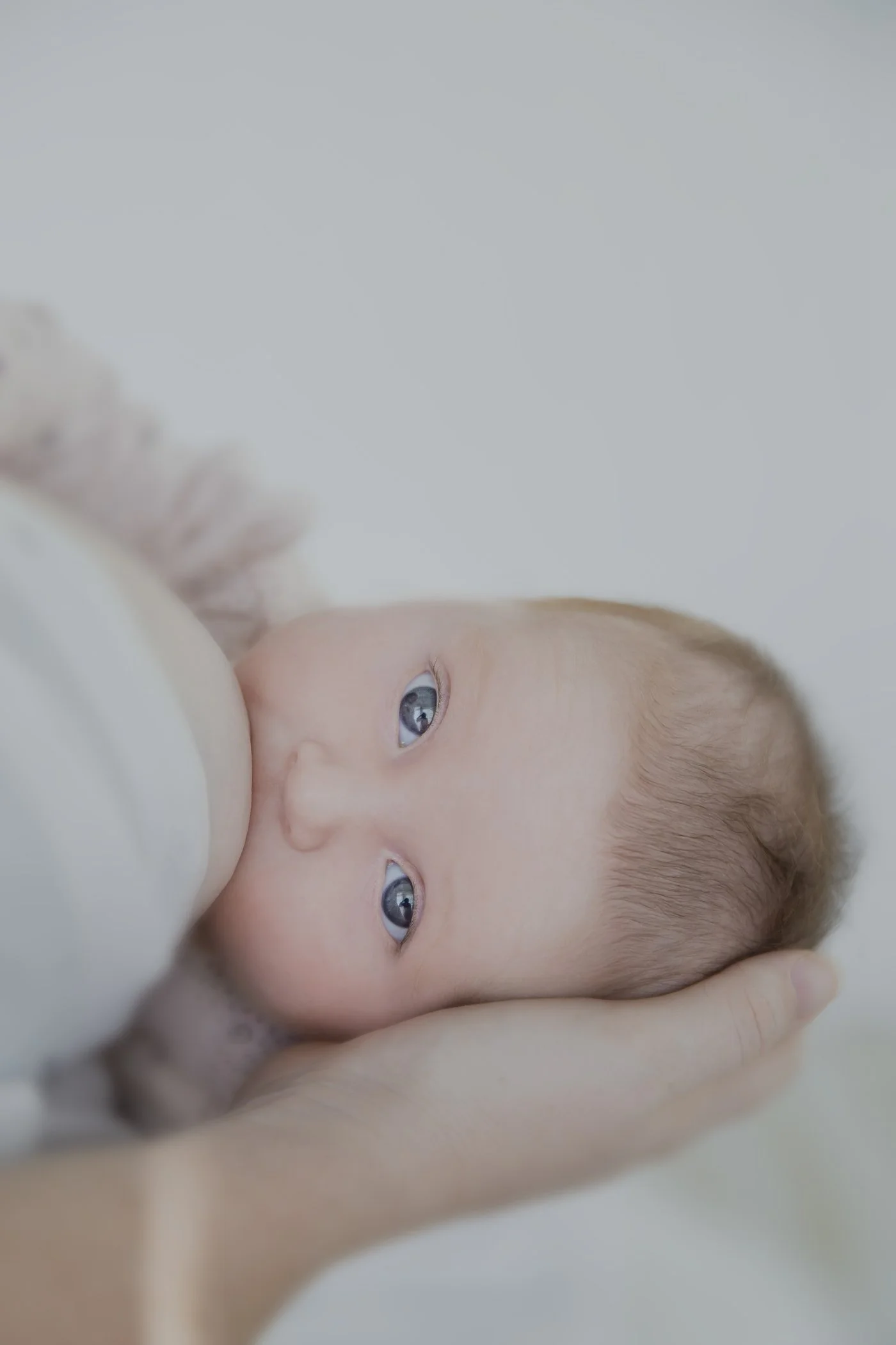 LBPH_022_SR_BABY_e.JPG