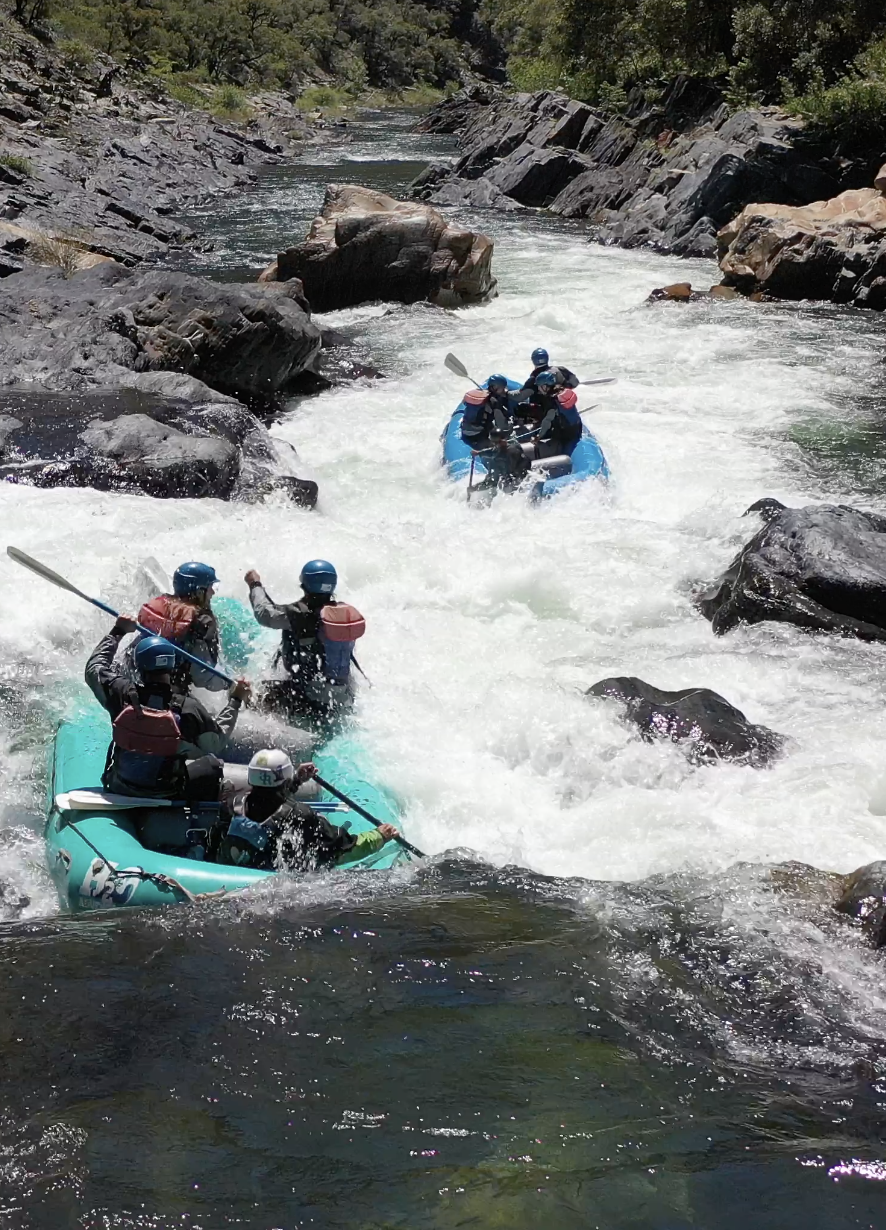 American River Rafting for the Summer of 2026