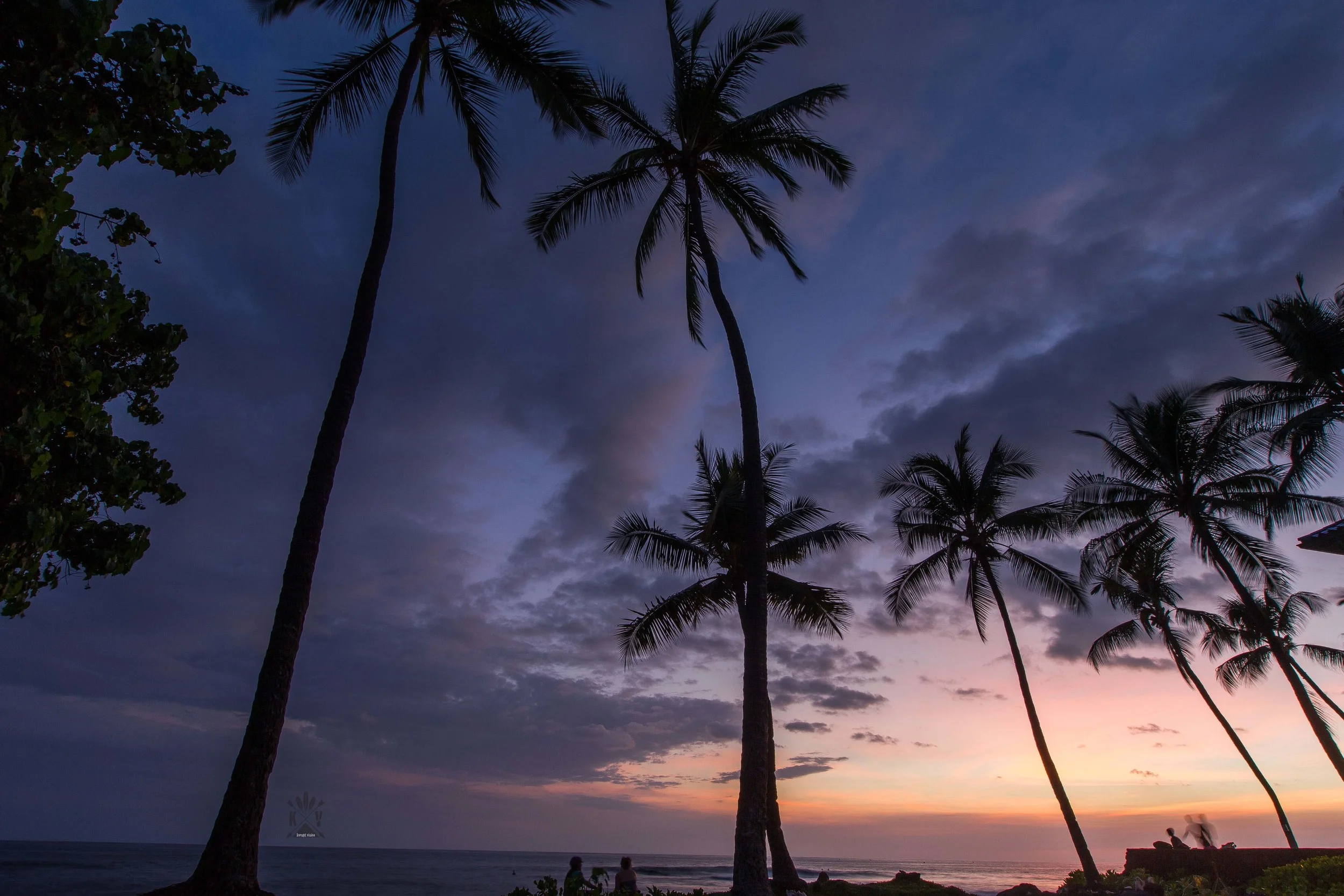Kona Palms