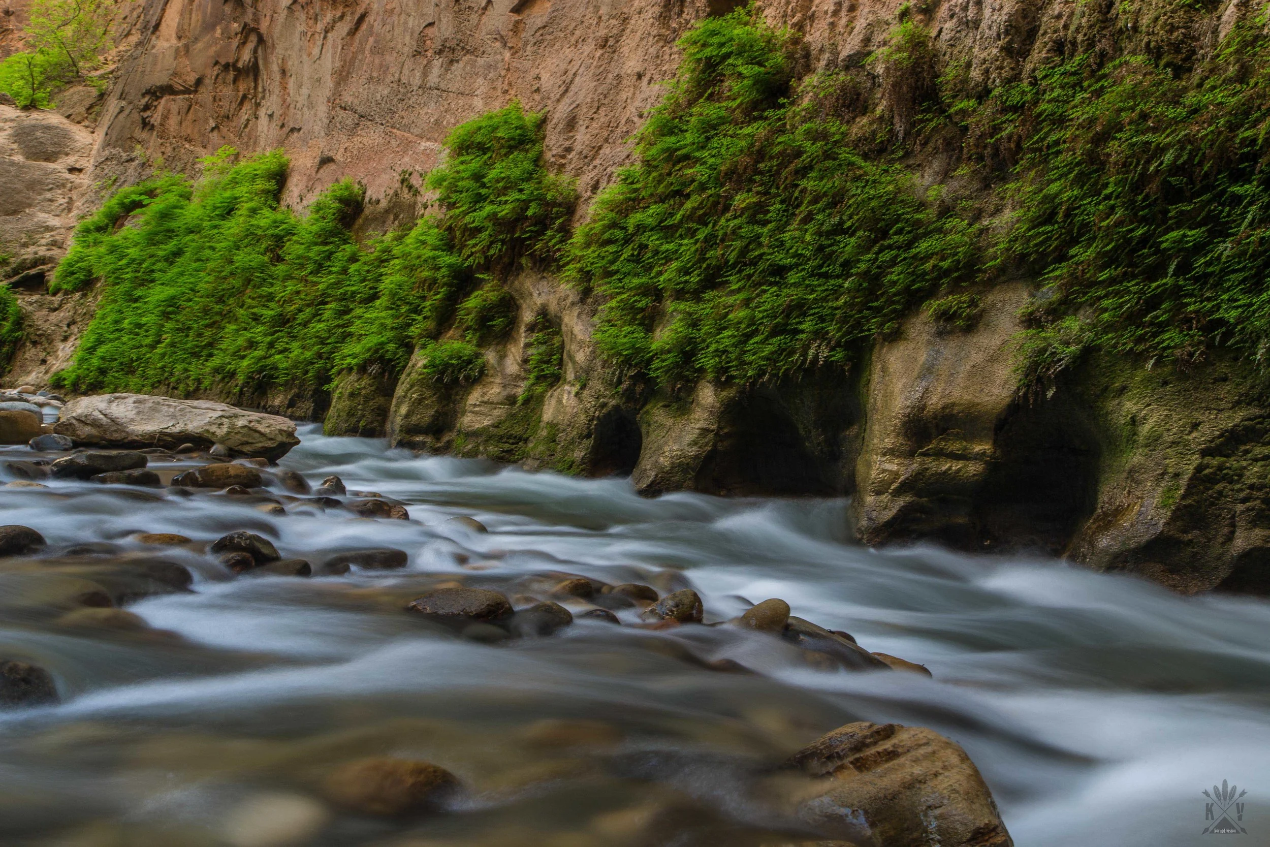 Green Flow - The Narrows, Zion NP