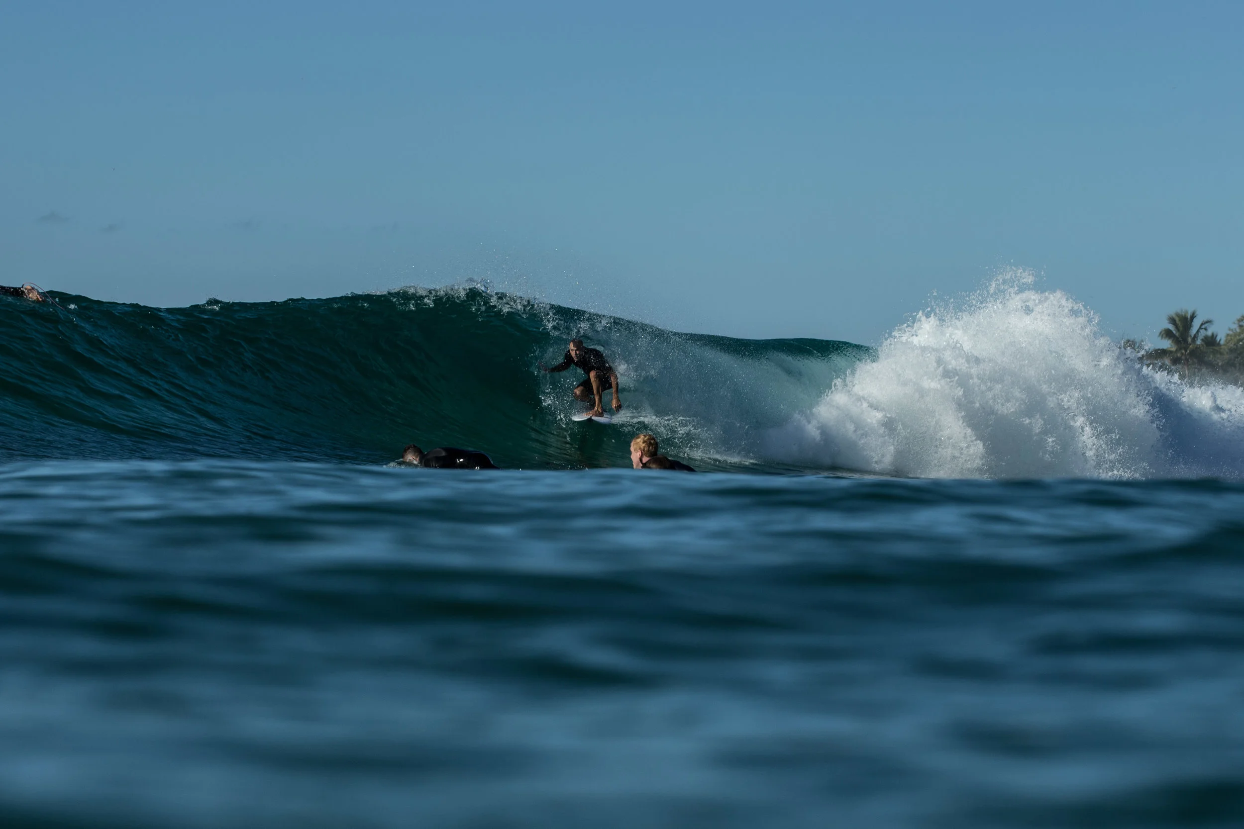 All eyes are on Kelly when he's in the water.