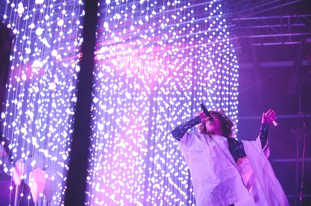 GOVERNORS BALL_2016 (6).jpg